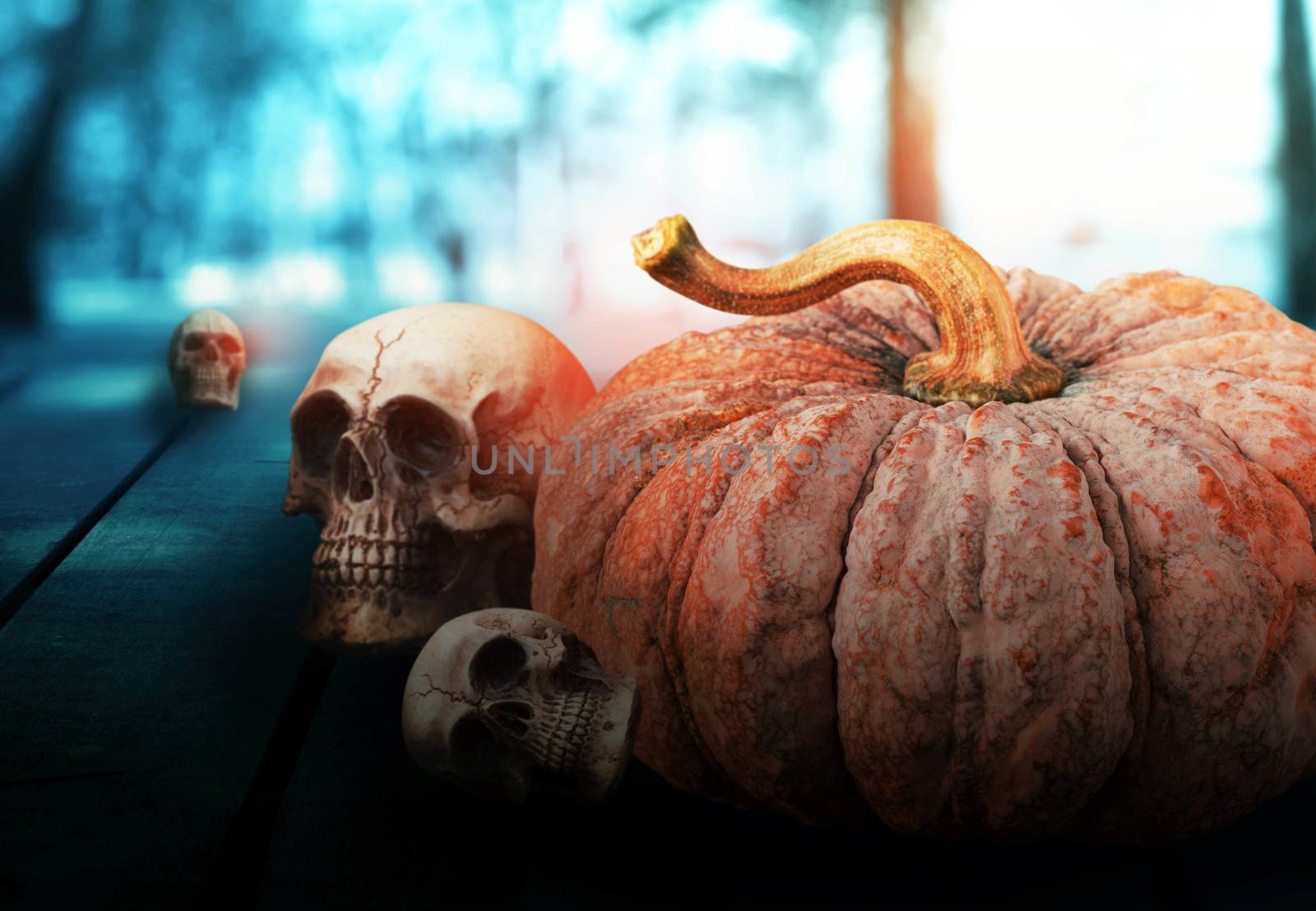 Pumpkin and skull on wooden. by start08