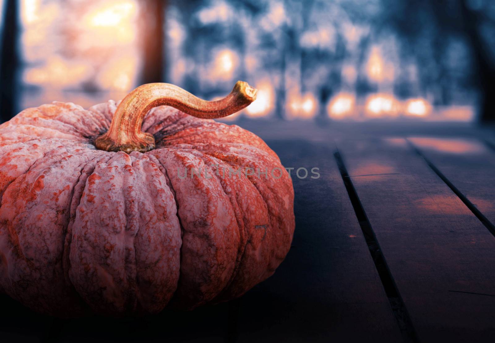 Pumpkin on wooden floor with wild background.