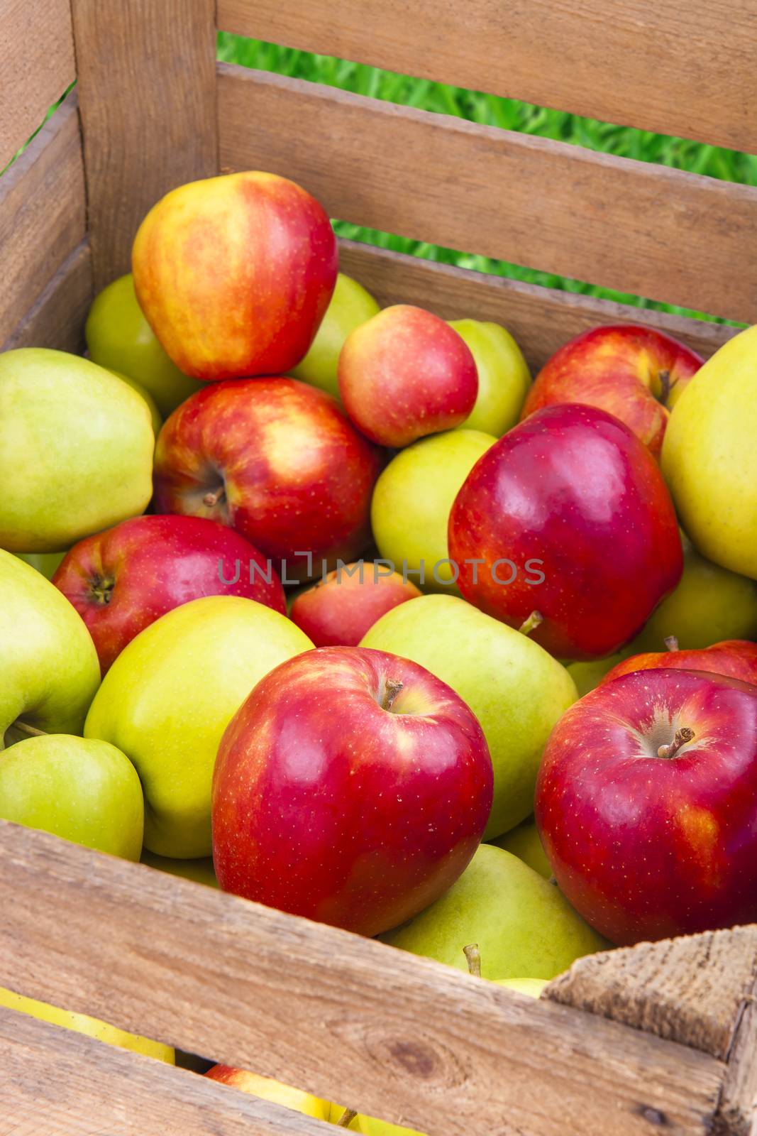 Green and red apples in a wooden box, fresh fruits