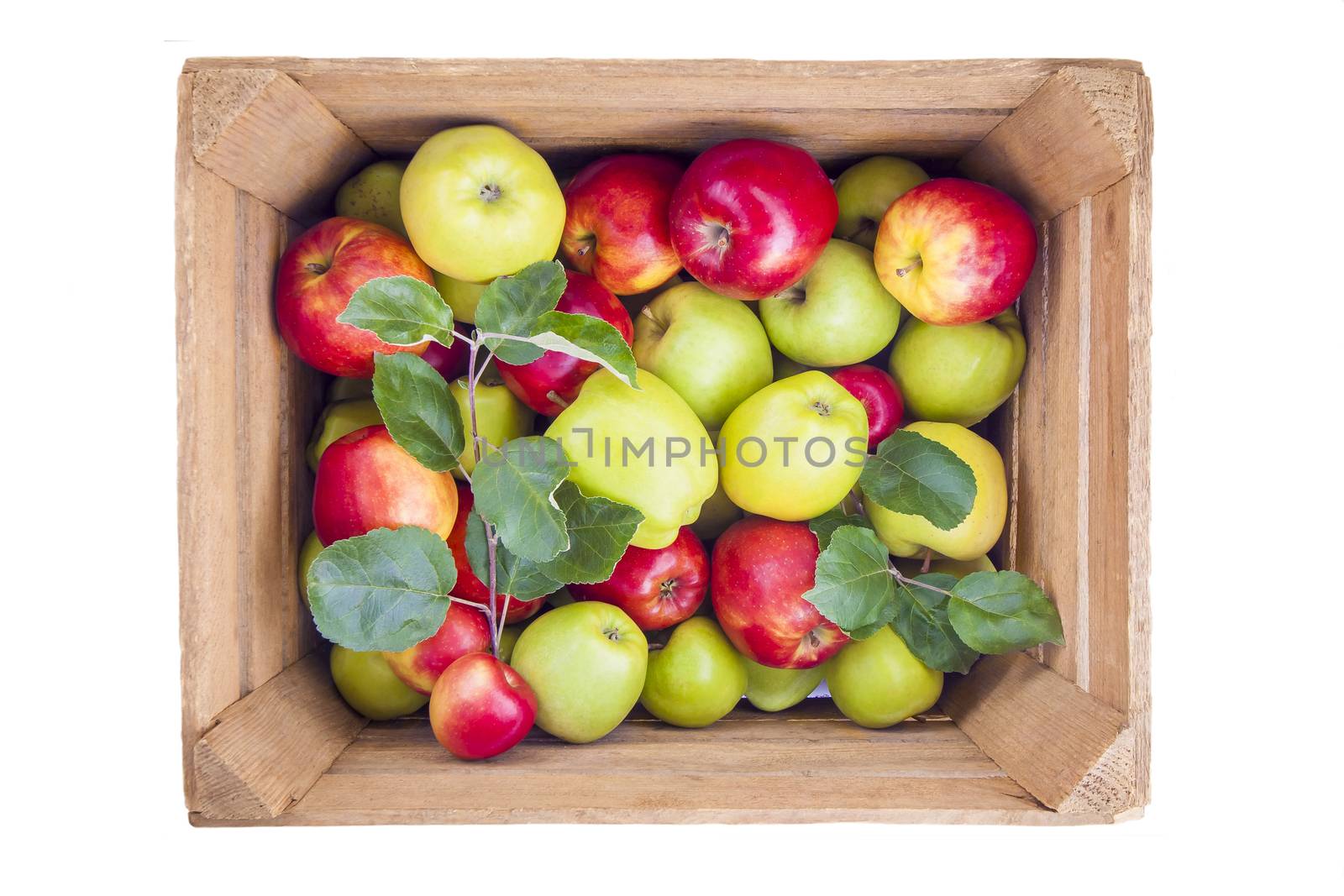 Red and green apples in wooden box by Gbuglok