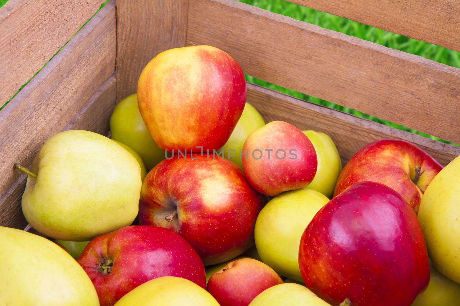 Green and red apples in a wooden box, fresh fruits