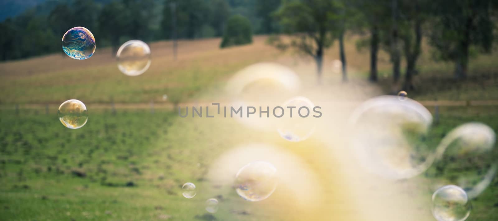 Bubbles floating in the outside amongst a country field.