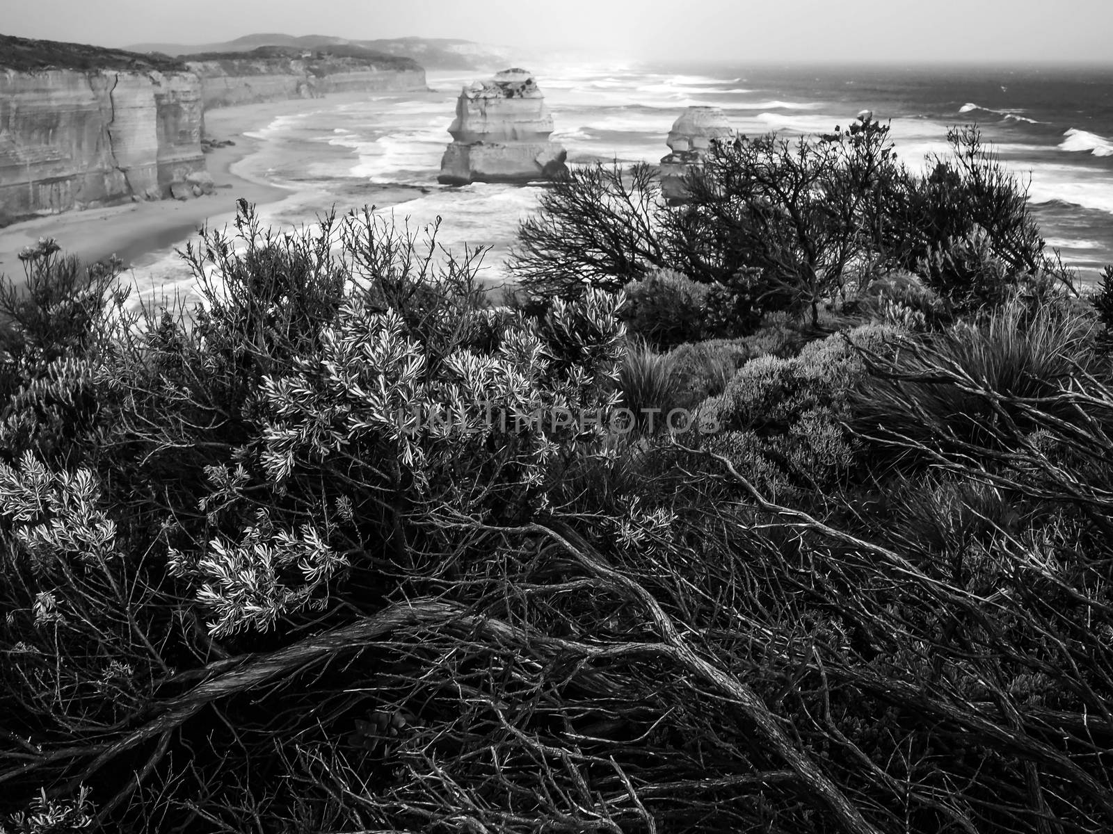 Black and white image of Rock islands along Australian coastline. Tourist attraction and travel destination along Australian coastline, Victoria, Australia