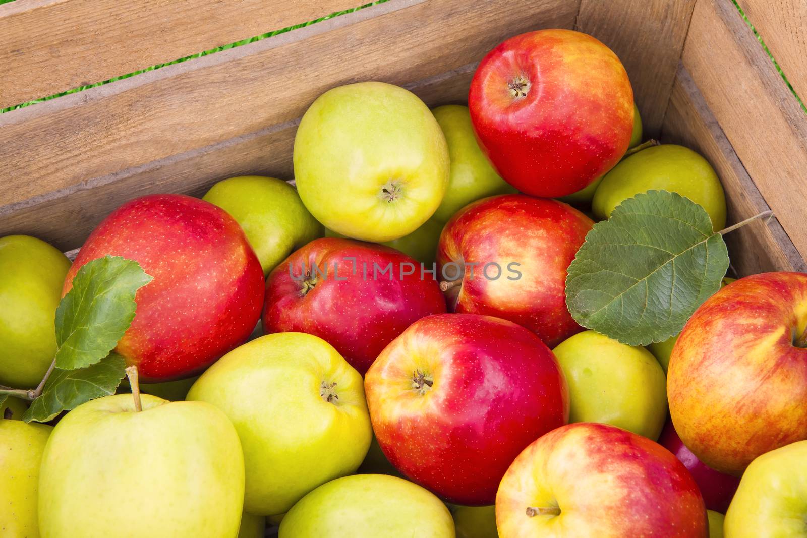 Green and red apples in a wooden box, fresh fruits