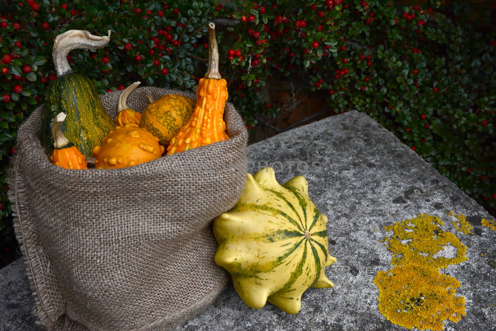 Hessian sack of ornamental gourds on a stone bench with a Crown of Thorns outside. Copy space on lichen-covered seat.