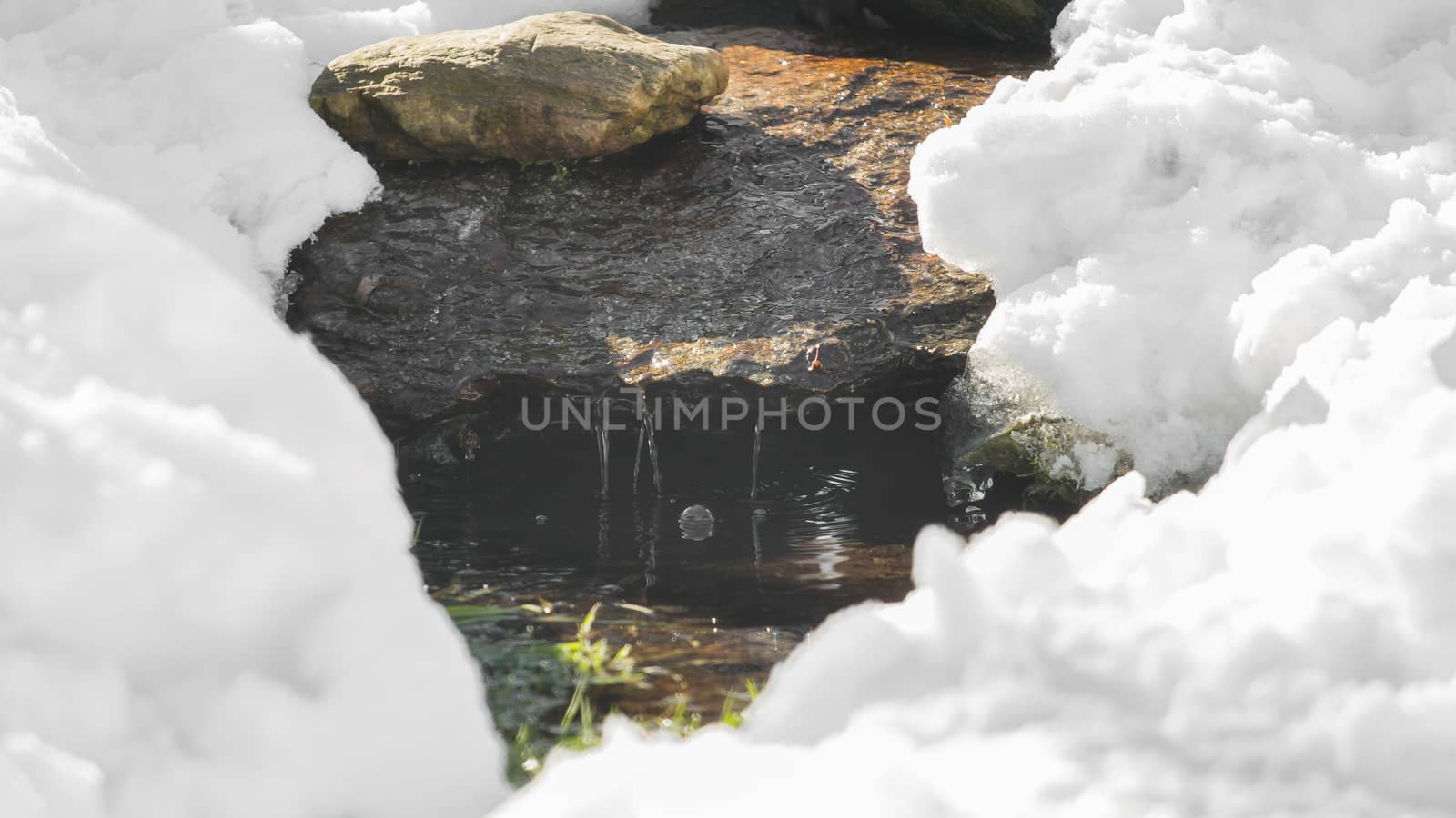 Small watercourse in the snow by sandra_fotodesign