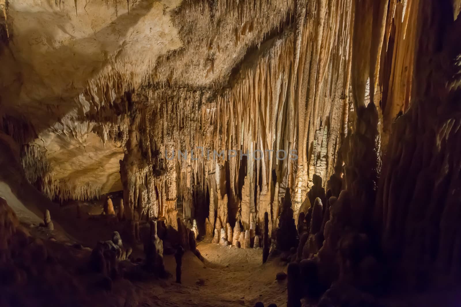 Dripstone cave guevas Drach Mallorca