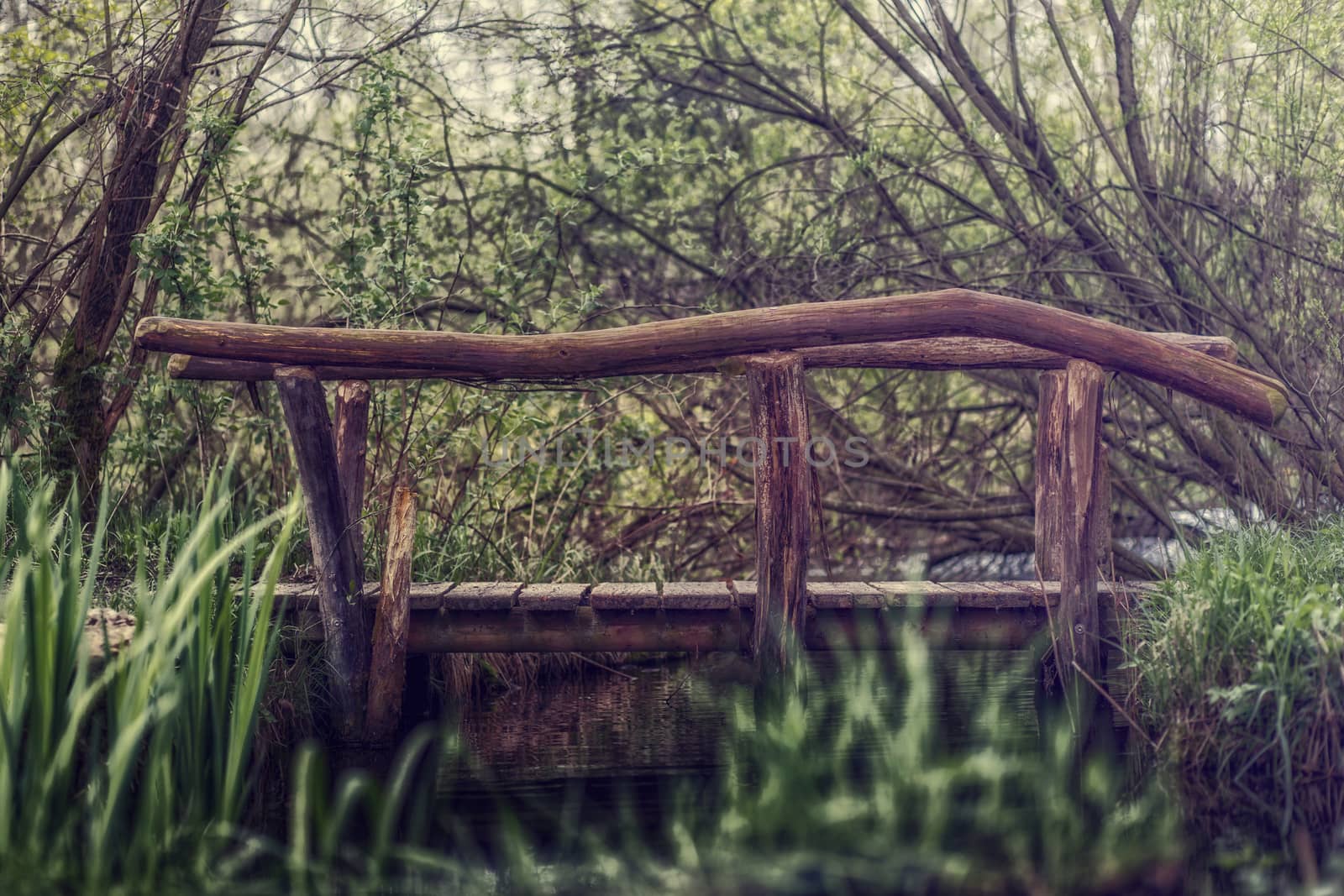 Small Bridge over a little river by sandra_fotodesign