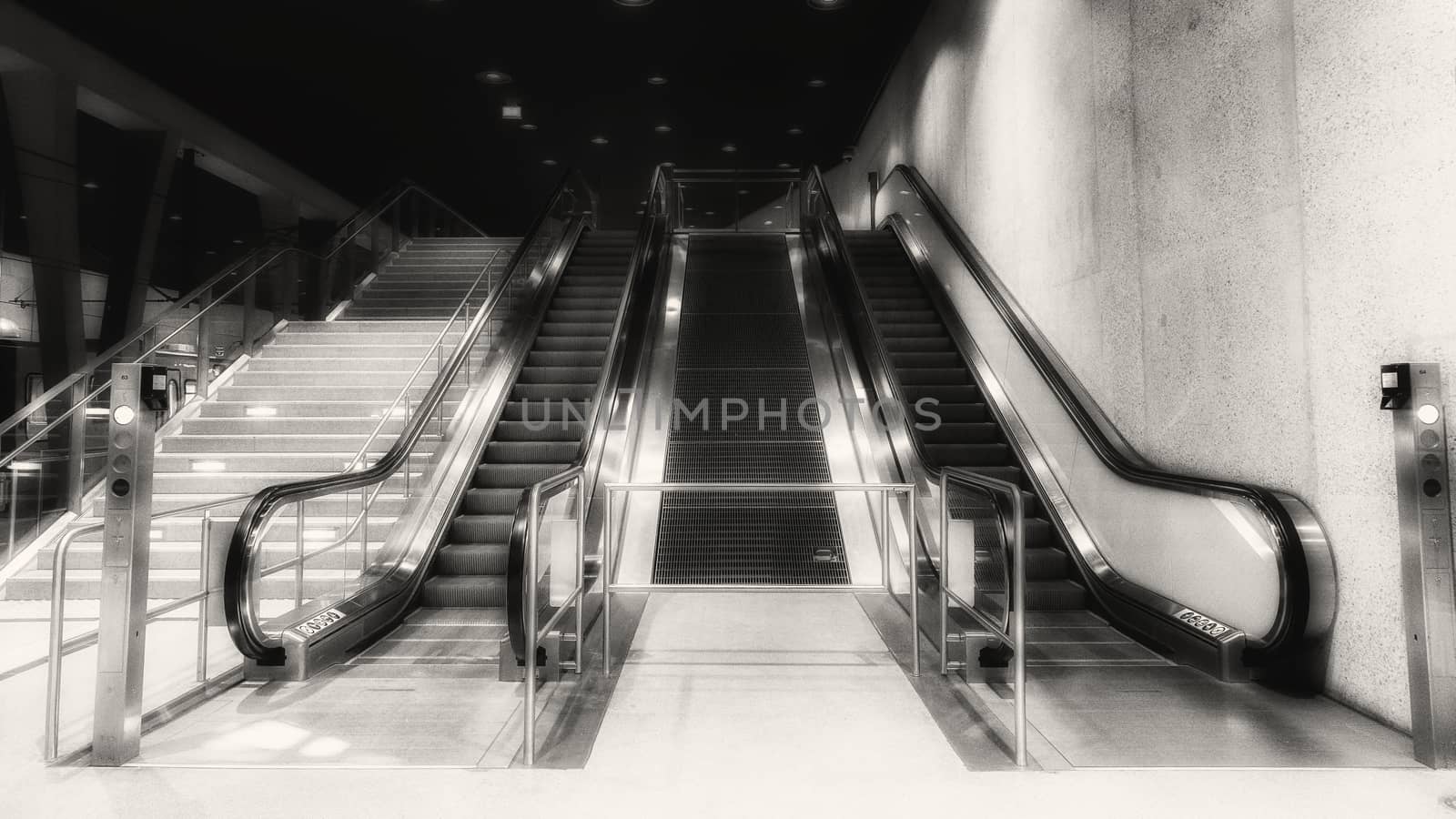 Empty escalator in black and white