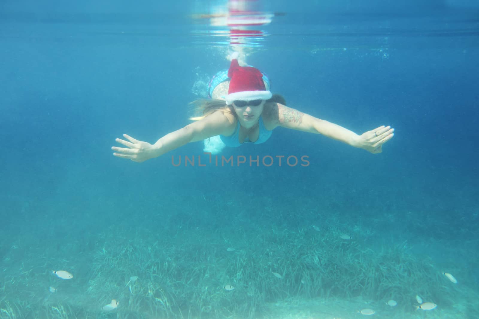 Woman in Santa hat swimming underwater by destillat