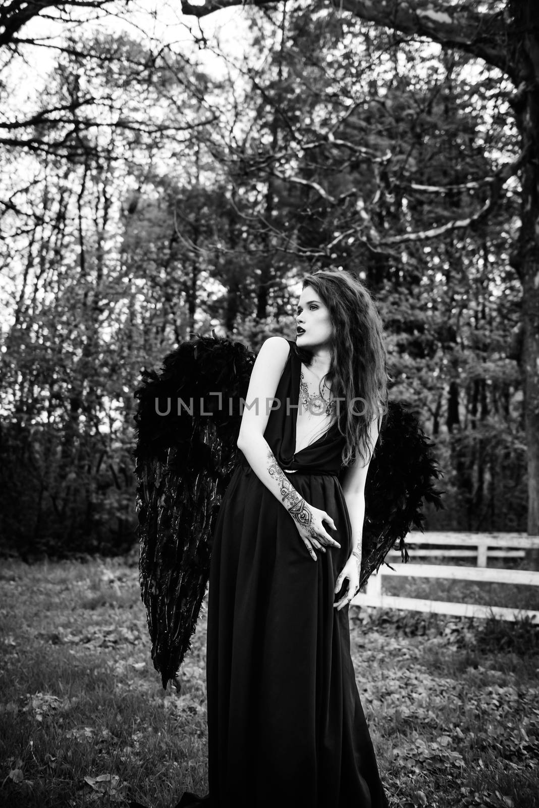 Fallen angel with black wings by Andreua