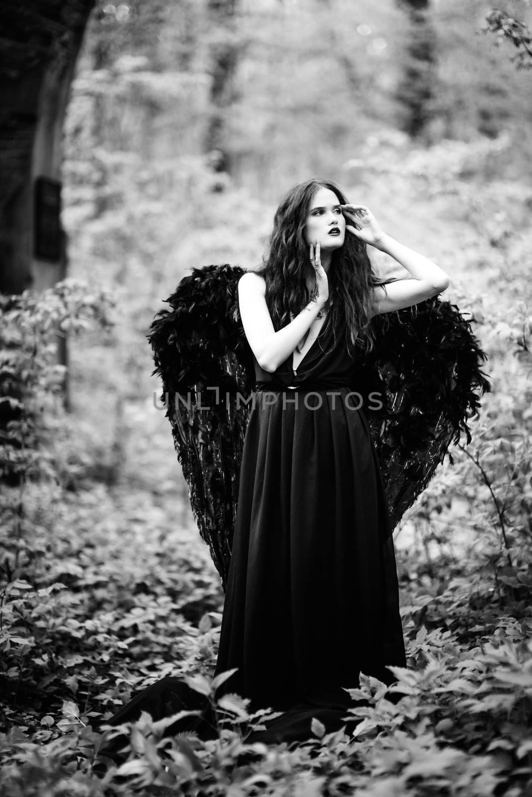 Fallen angel with black wings in the old forest