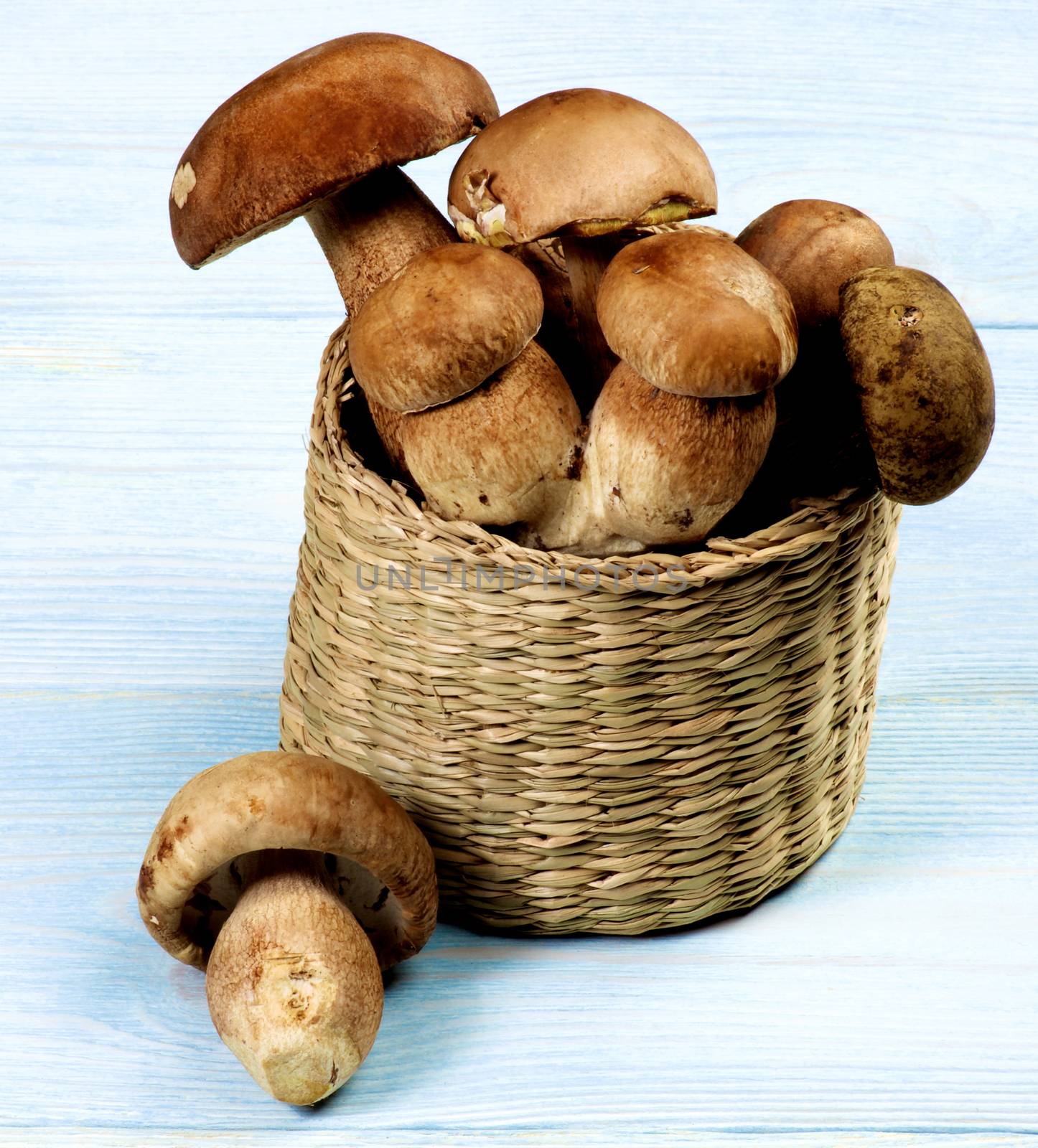 Fresh Boletus Mushrooms by zhekos