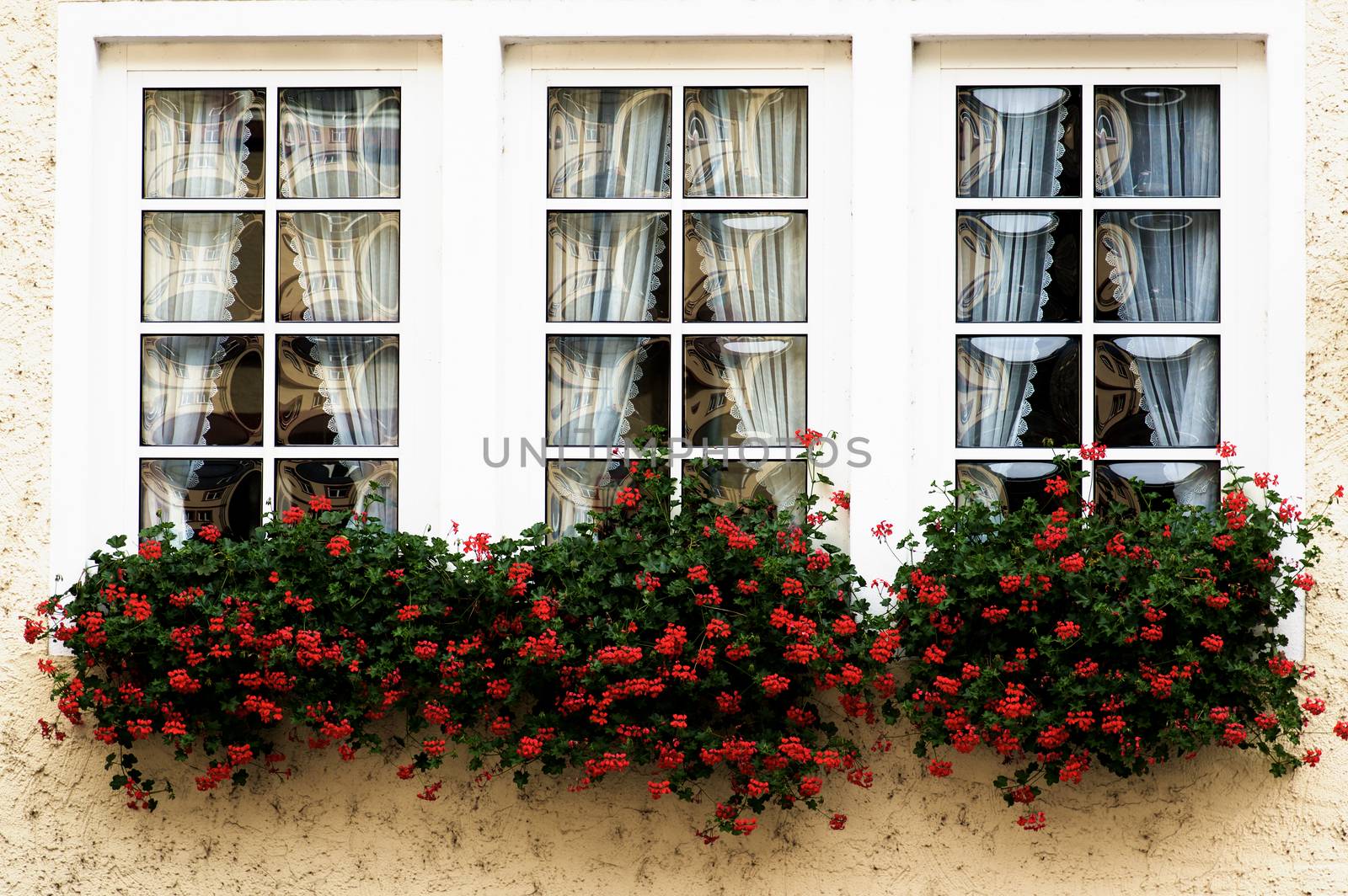 Windows with Flower Sill by zhekos