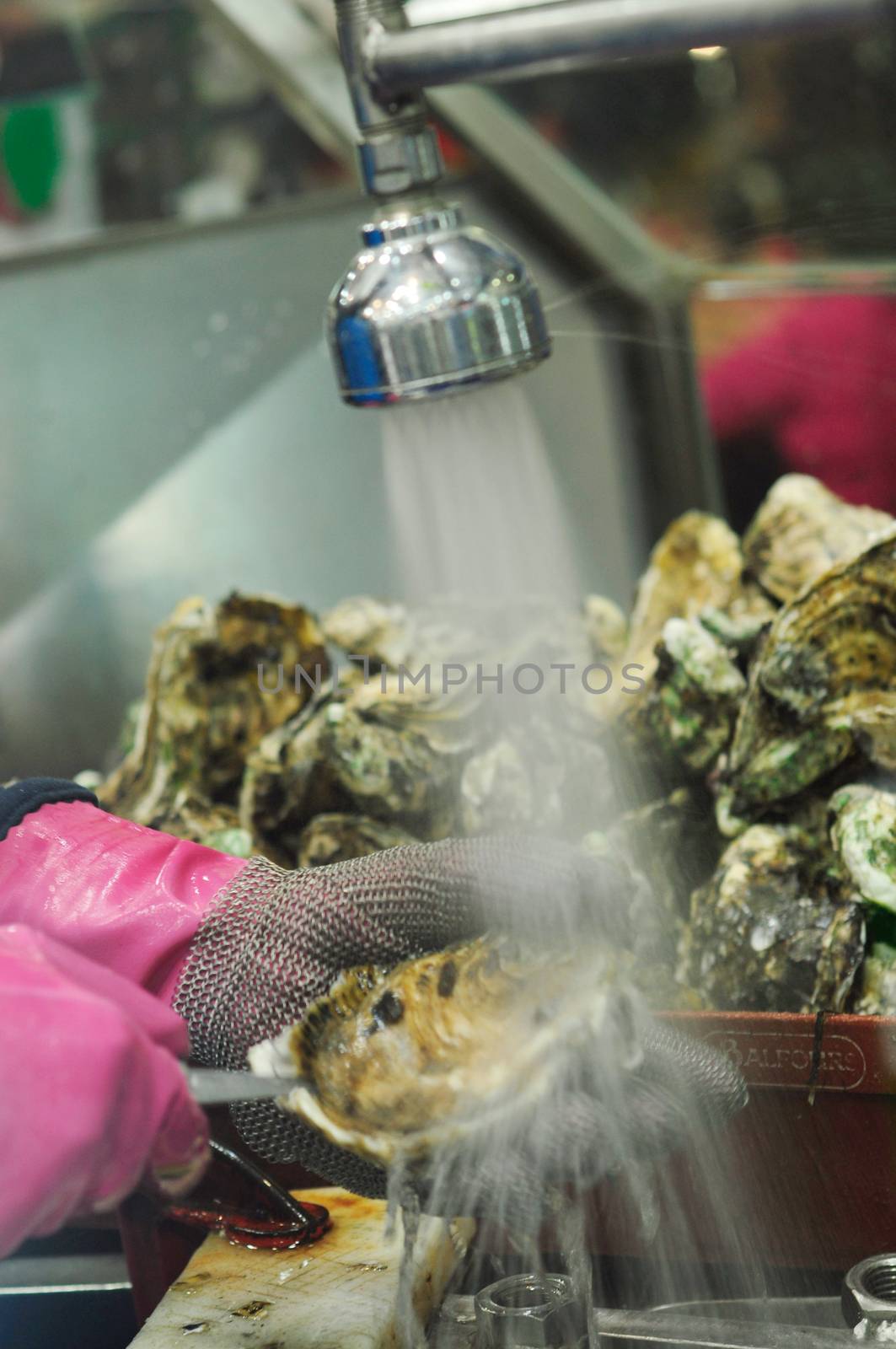 Pacific Oysters Grande cleaning before cooking at fish market in Sydney, New South Wales, Australia 