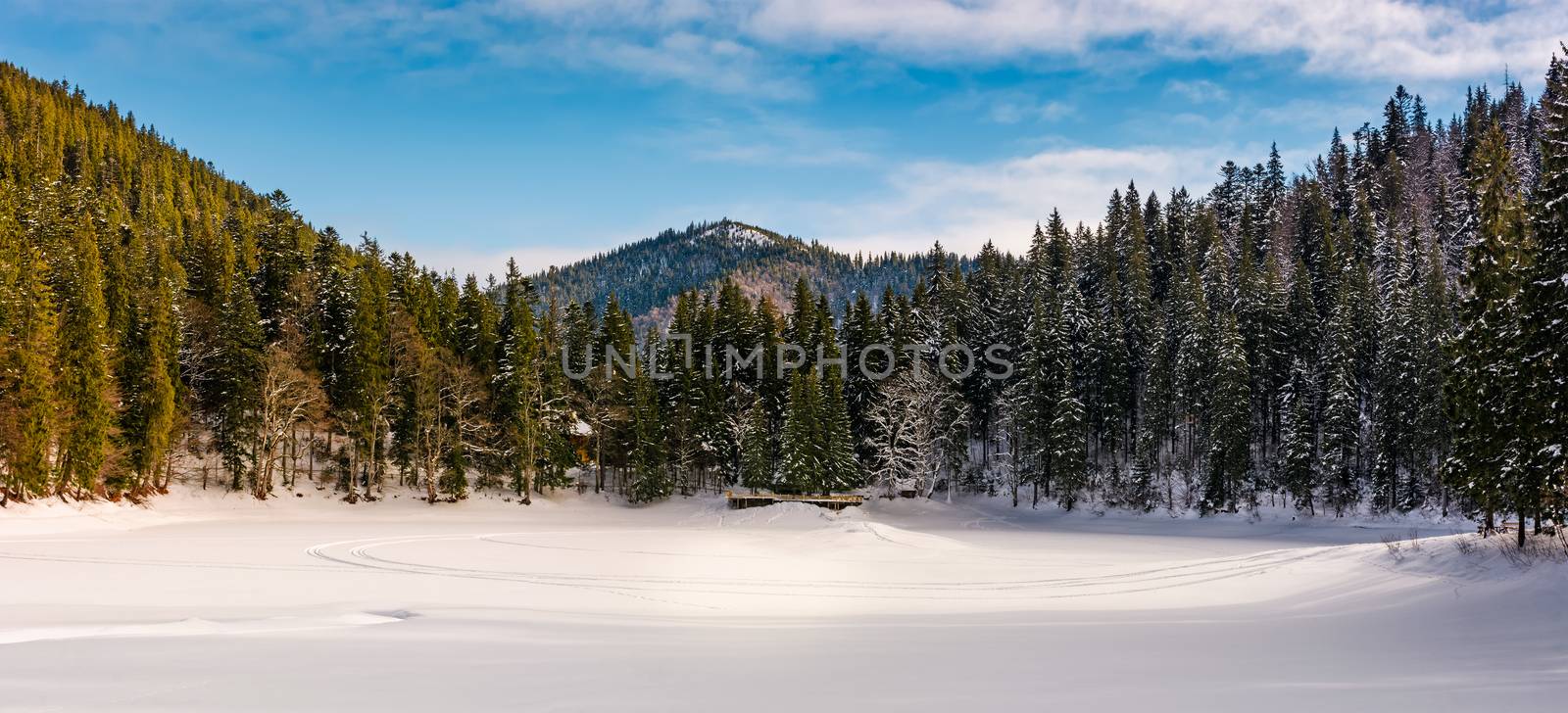 panorama of spruce forest in winter mountains by Pellinni