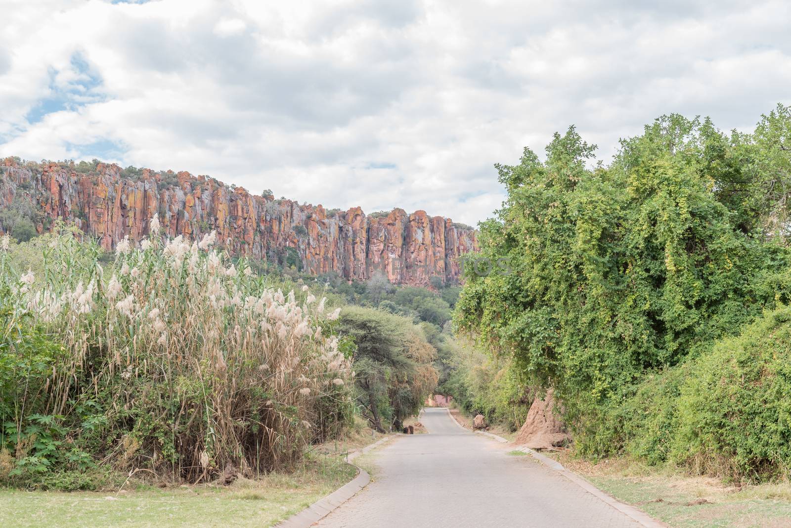 A view of the Waterberg Plateau near Otjiwarongo  in the Otjozondjupa Region of Namibia