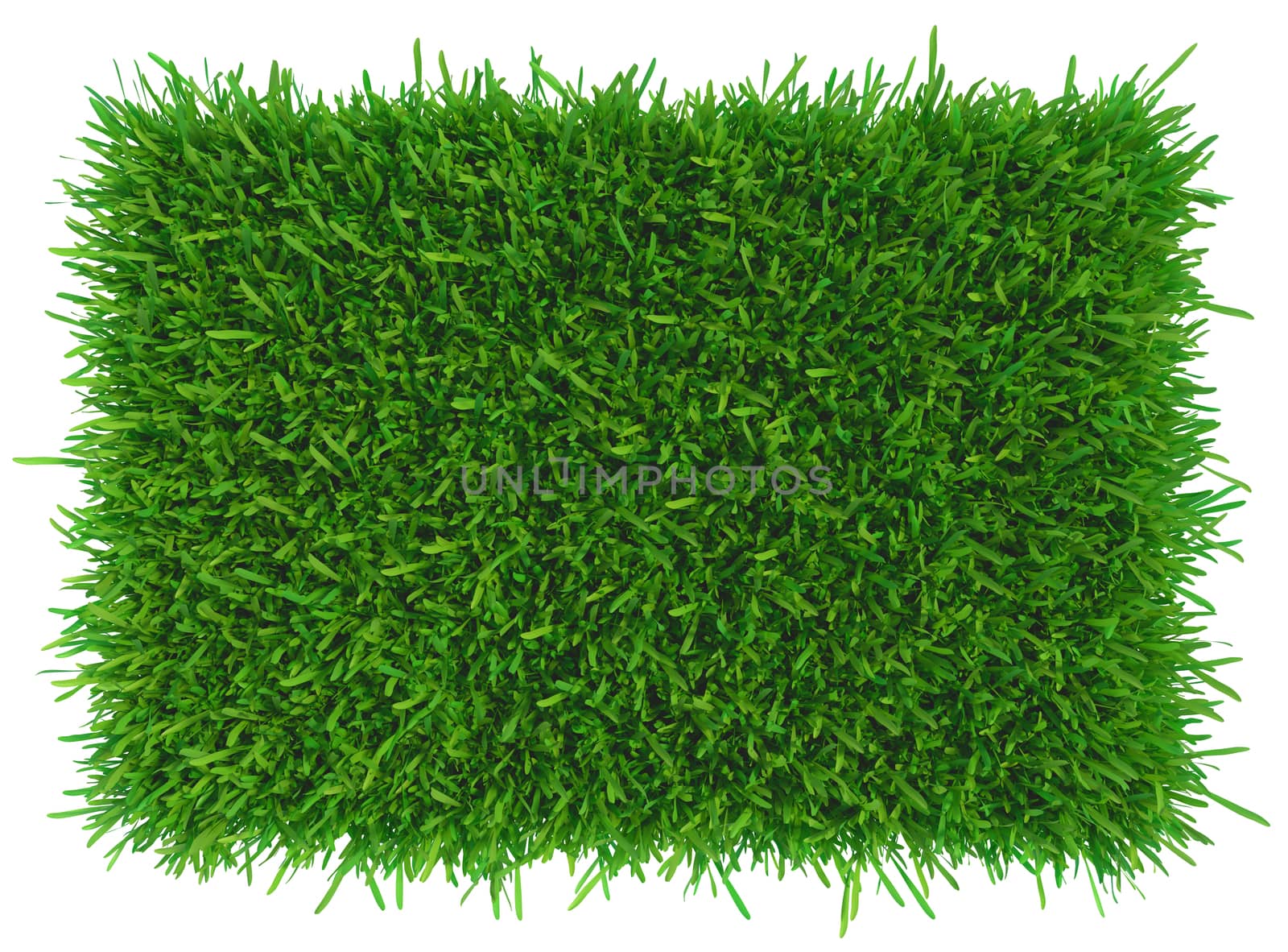 Green grass. natural background texture. by Mirexon