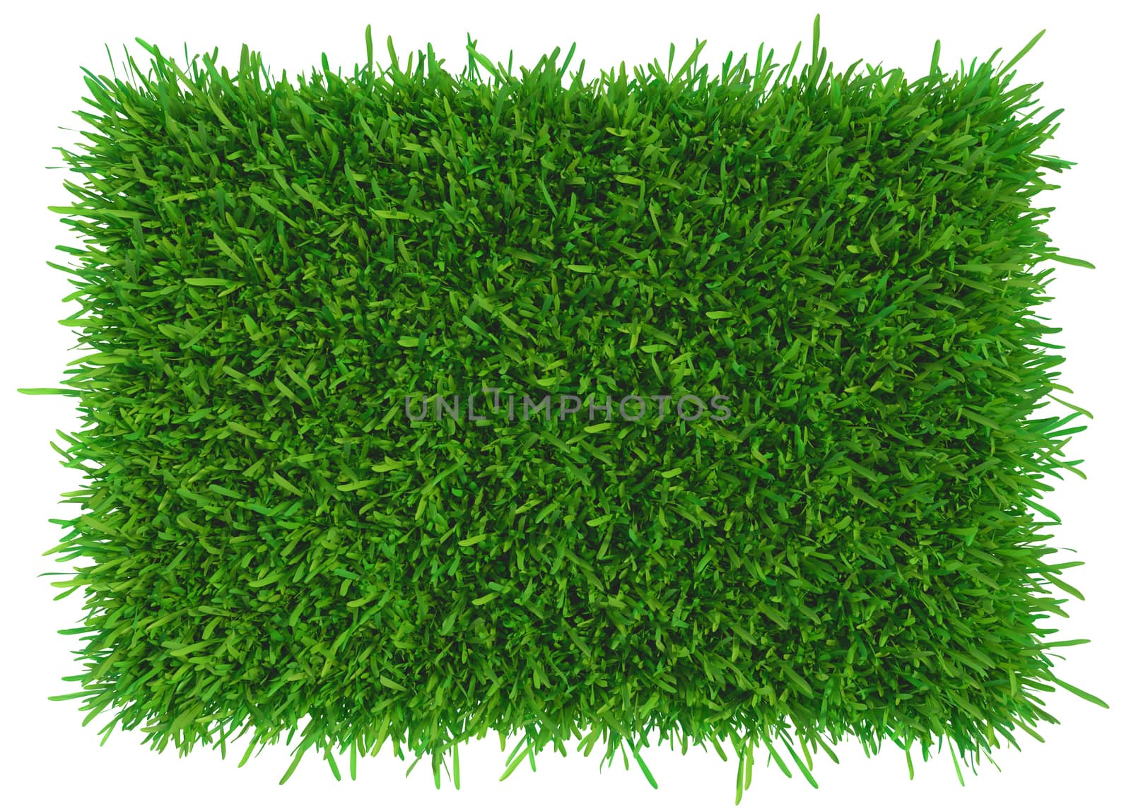 Grass background texture. fresh grass. 3d rendering