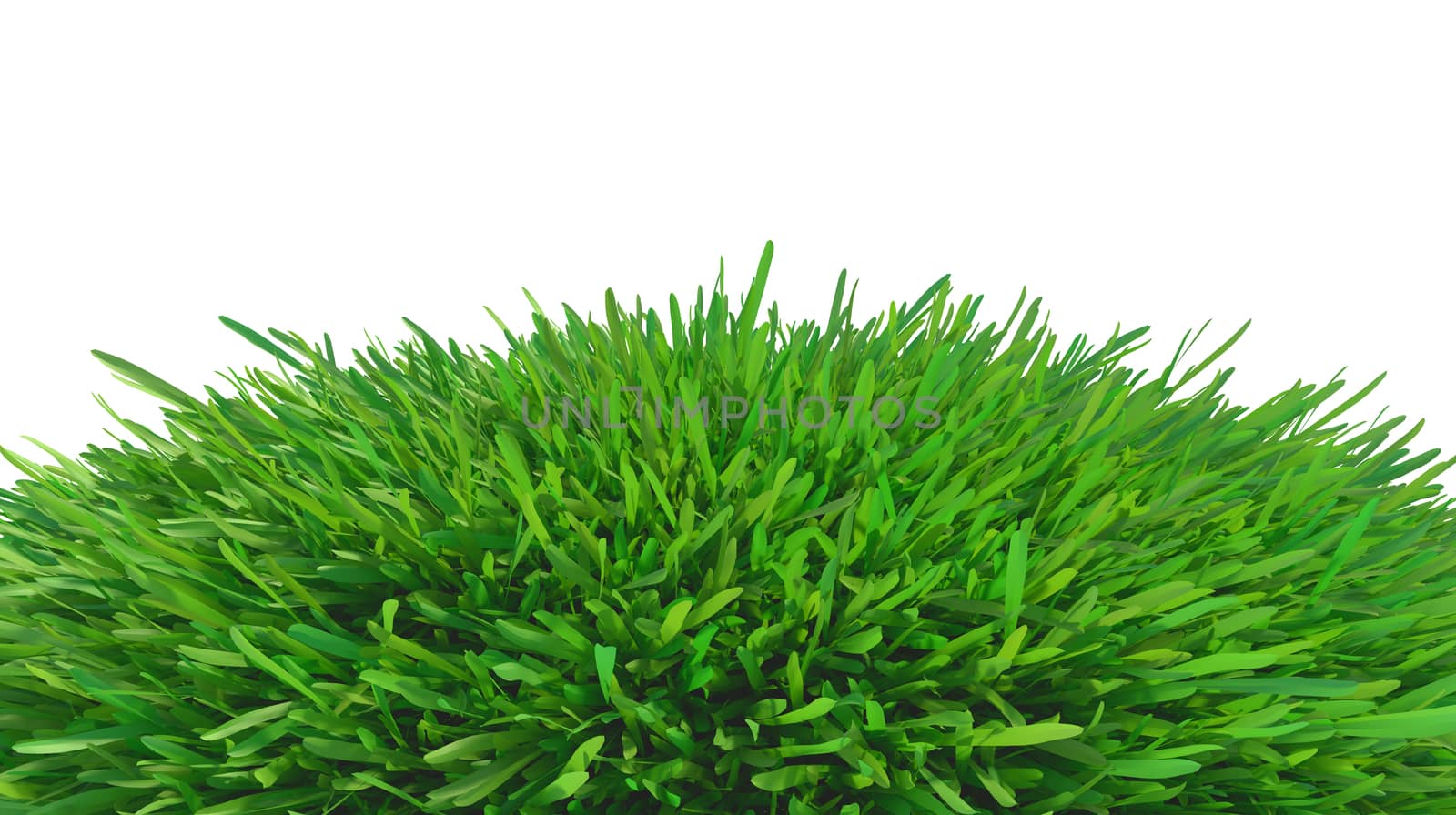 green grass meadow. plants lawn. 3d rendering