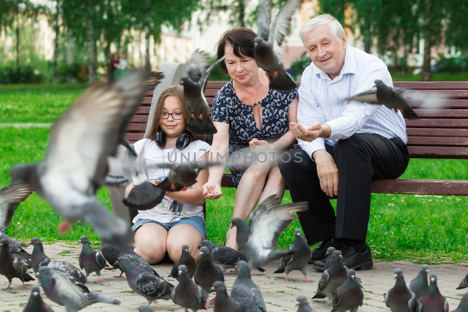 Beautiful elderly couple and the granddaughter sit on a bench and feeds pigeons