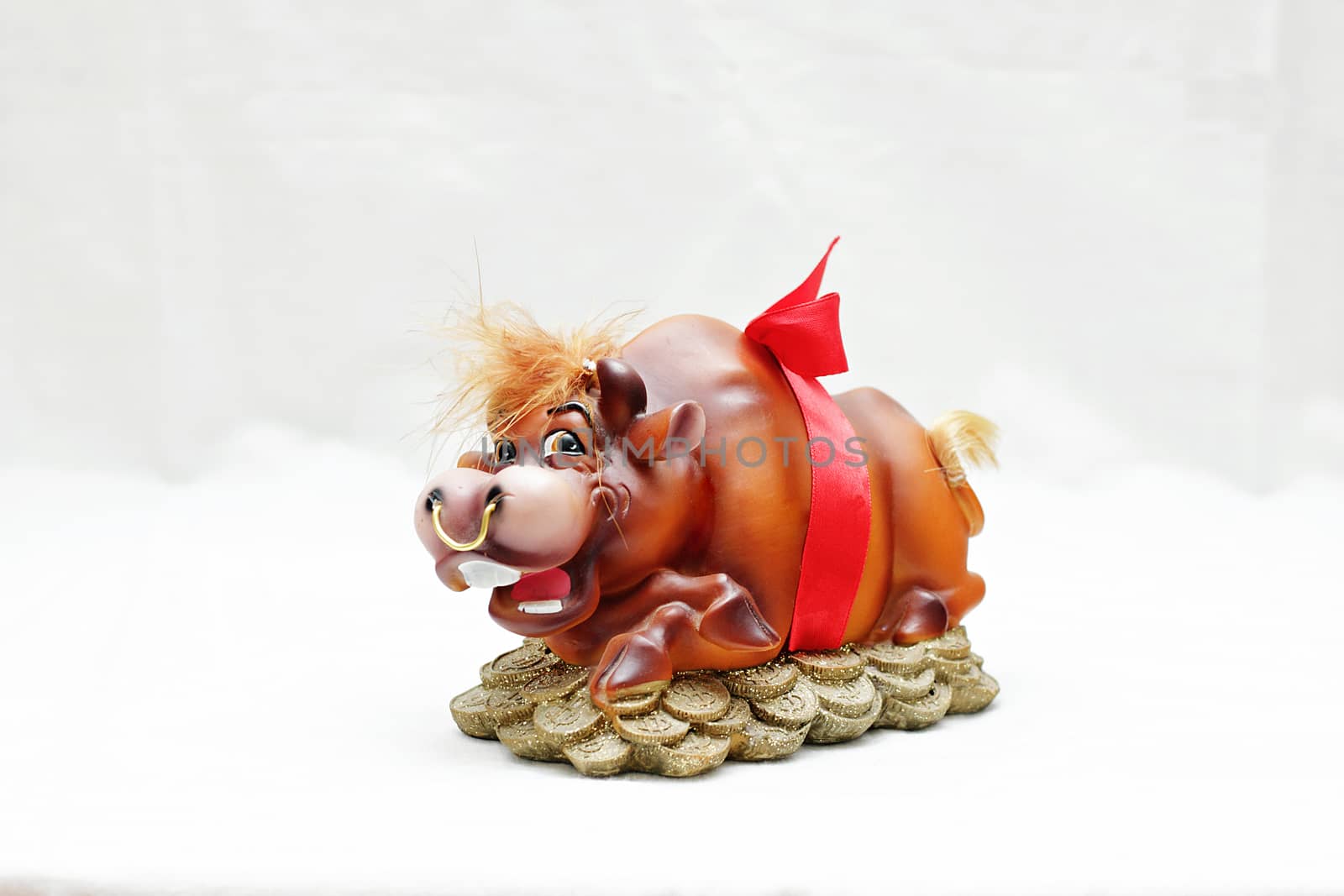 Souvenir piggy bank for coins in the form of a wild boar on a feng shui isolated on white background.