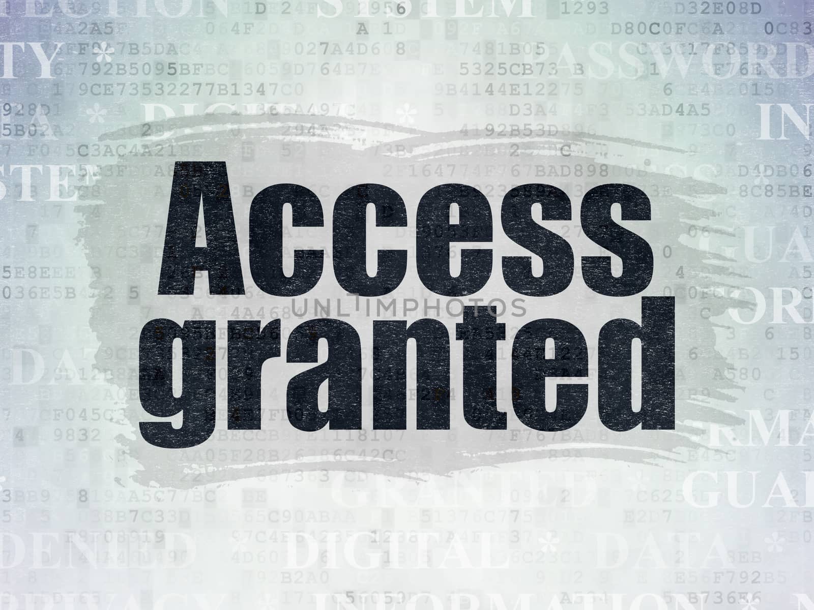 Protection concept: Painted black text Access Granted on Digital Data Paper background with   Tag Cloud