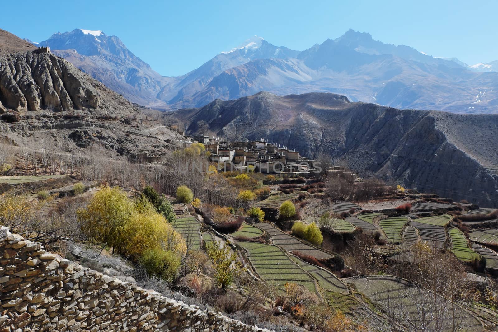 The mountain valley in autumn at an altitude of 4000 meters near the Muktinath