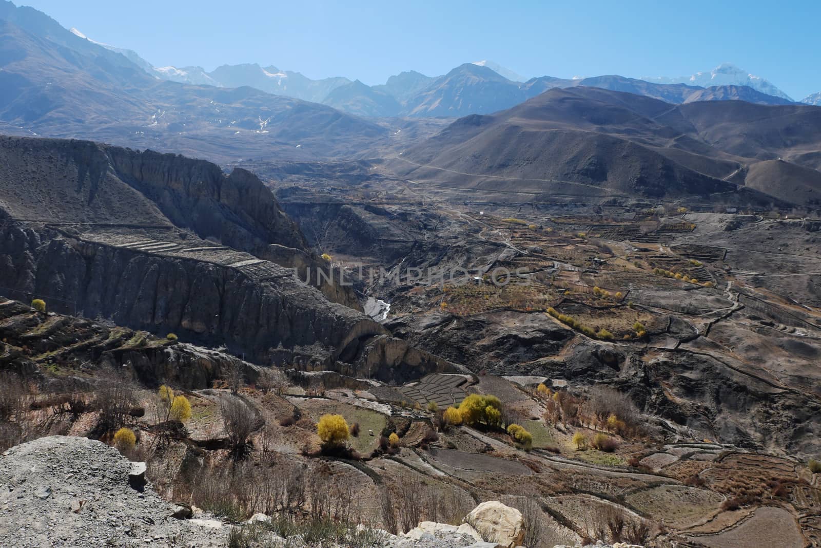 Mountain valley in autumn with yellowed trees at an altitude of 4000 meters near the Muktinath