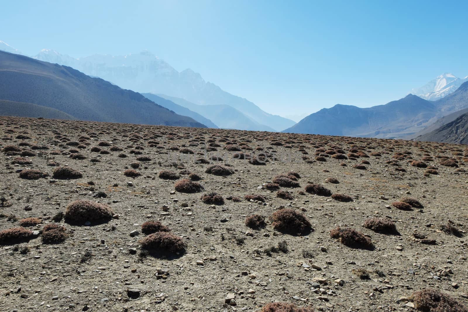 Mountain stony plateau with islands of vegetation with snow-capped mountains in a haze on the background