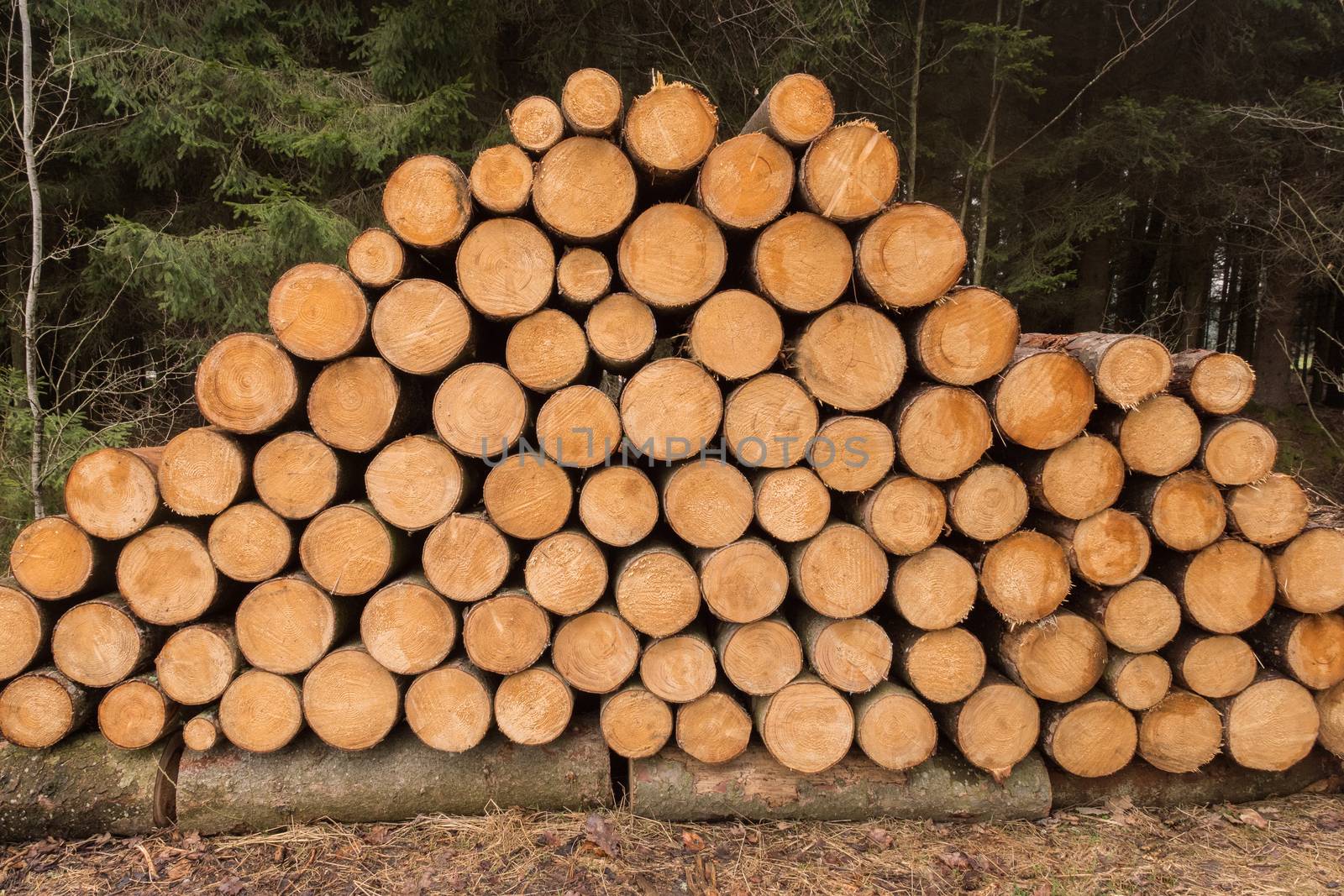 Stacked wooden trunks