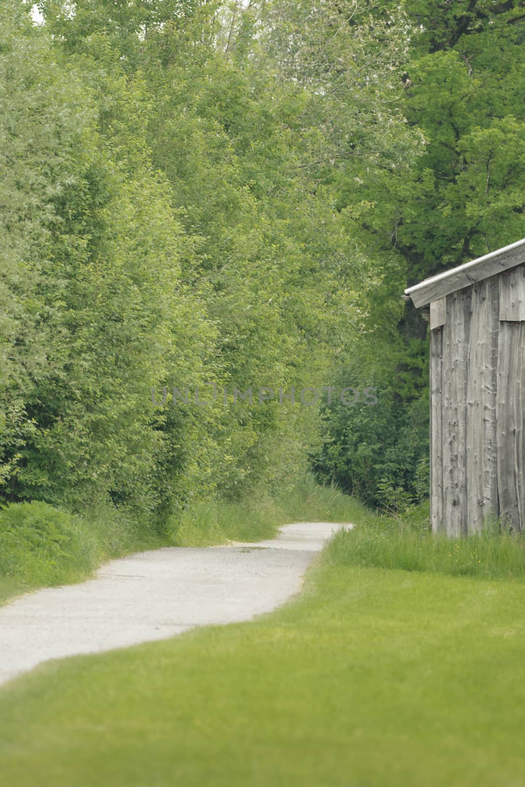 Corner of a hut on a green meadow