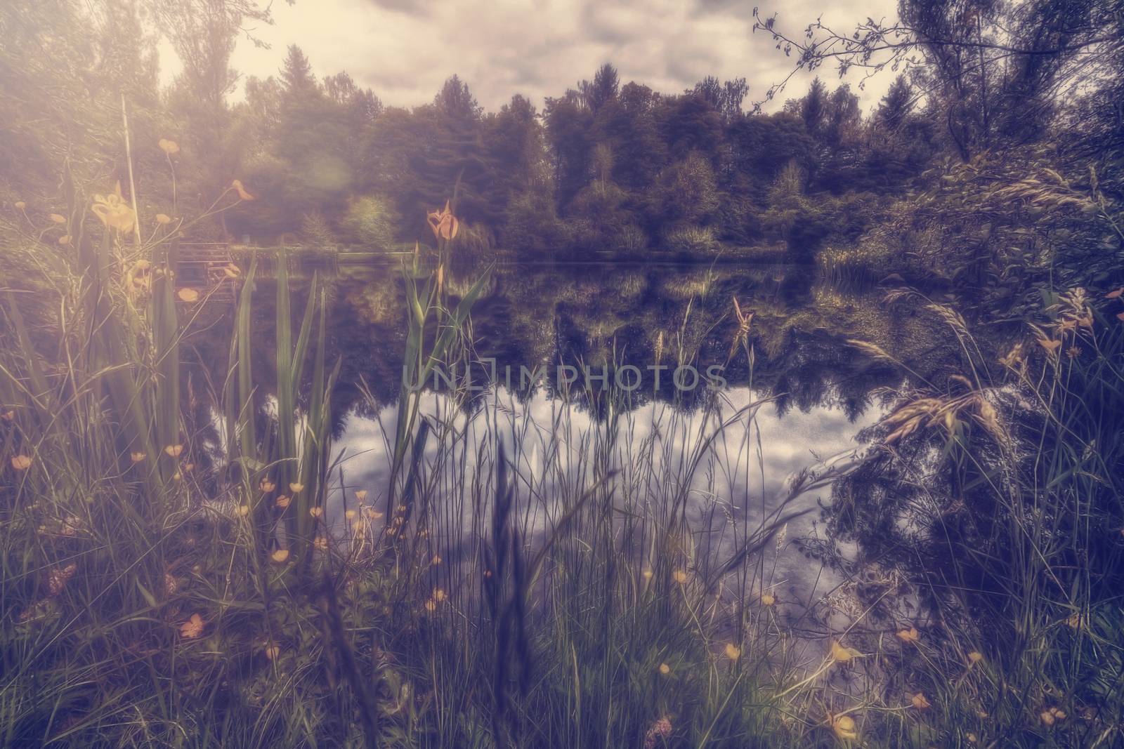 Flower meadow with river view by sandra_fotodesign
