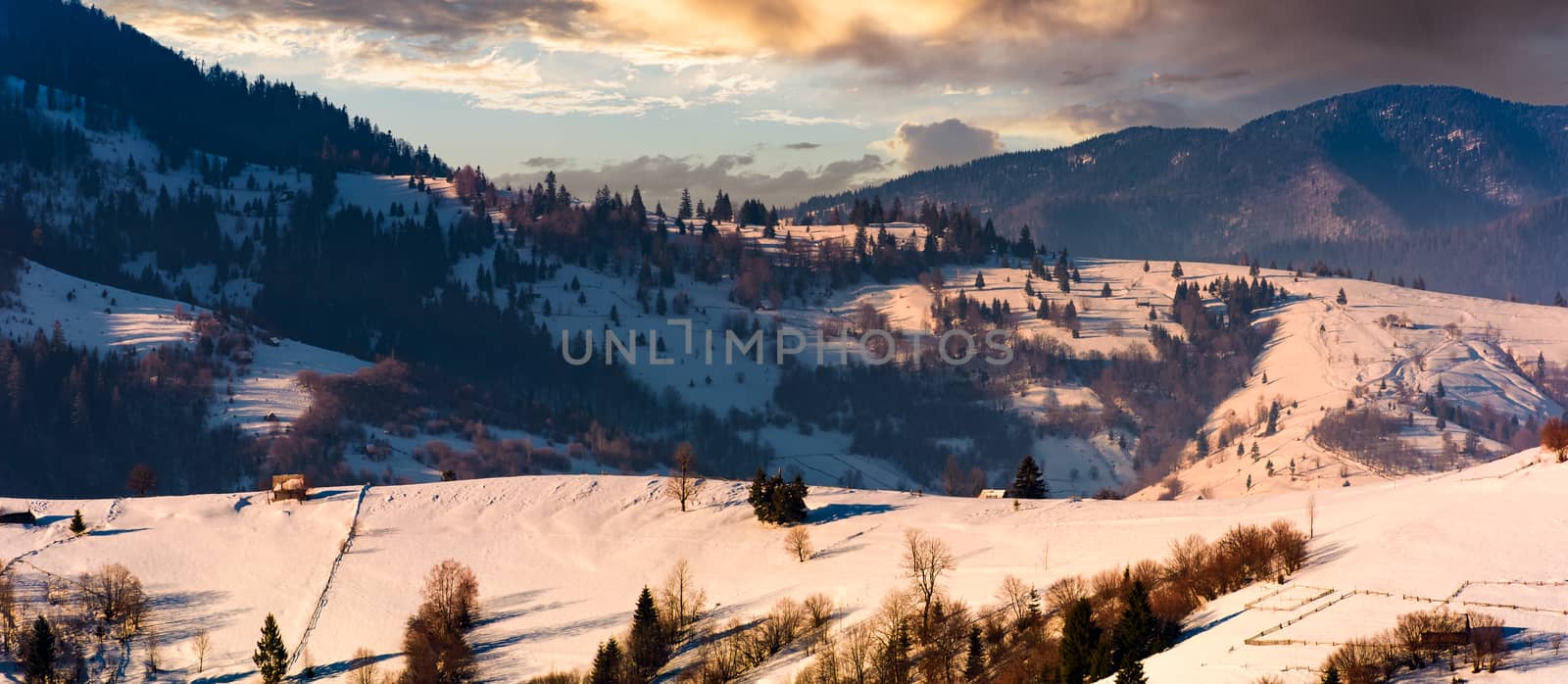 gorgeous winter landscape in mountainous rural are. beautiful panoramic countryside scenery with village and forest on snow covered rolling hills at sunrise