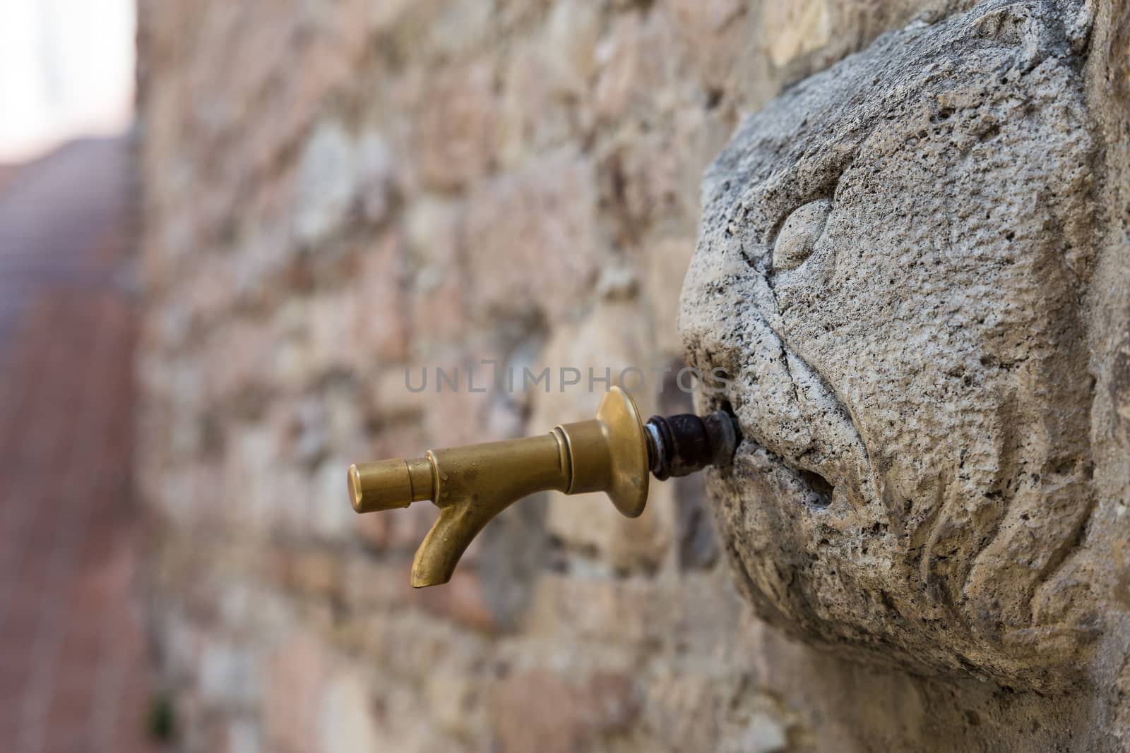 detail of an ancient fountain in Assisi (Italy)