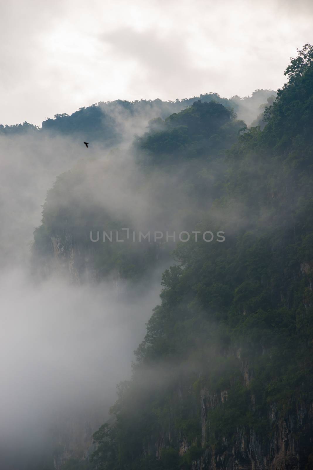 mysterious fog in the mountains, beautiful scenery by kosmsos111