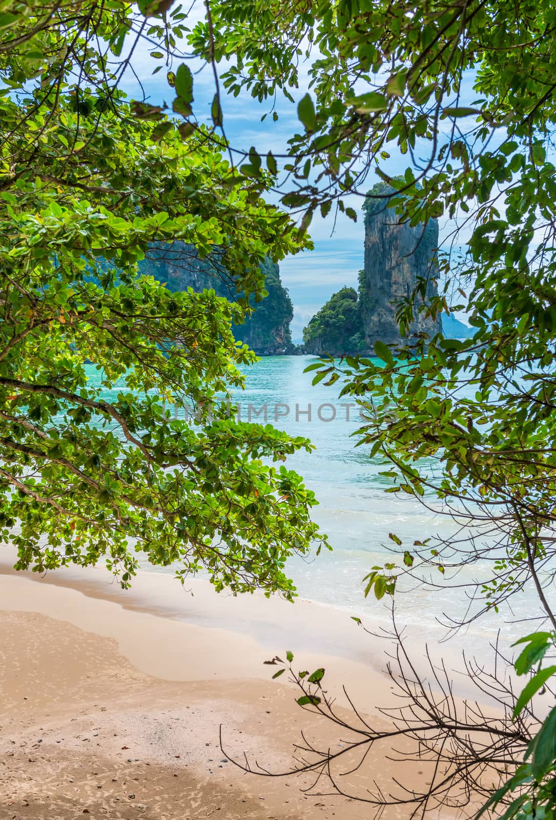 view through the tree to the beach and the rock on the Andaman coast