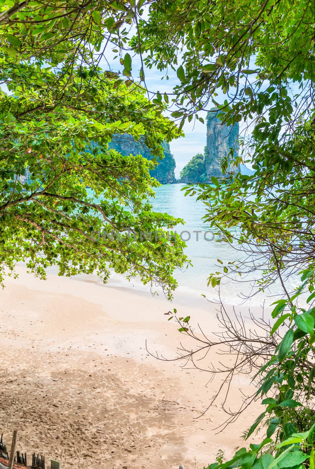 sandy beach and a beautiful bay through the foliage of trees by kosmsos111