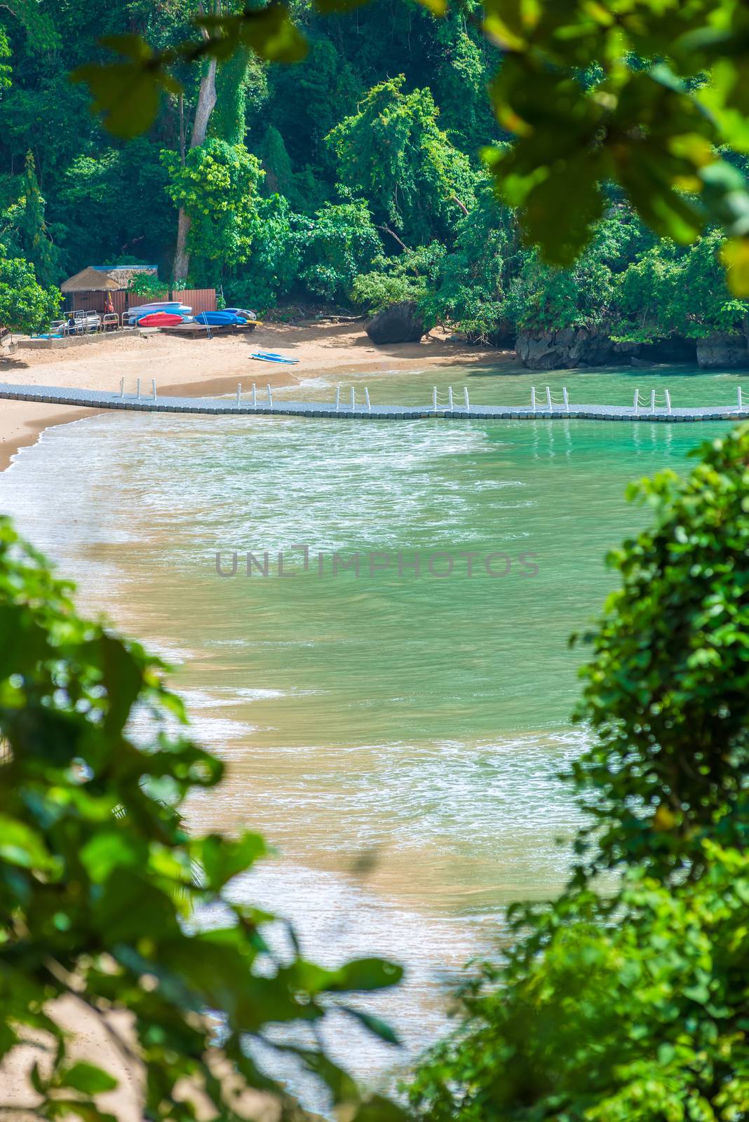 view of the beach and the pontoon through the trees