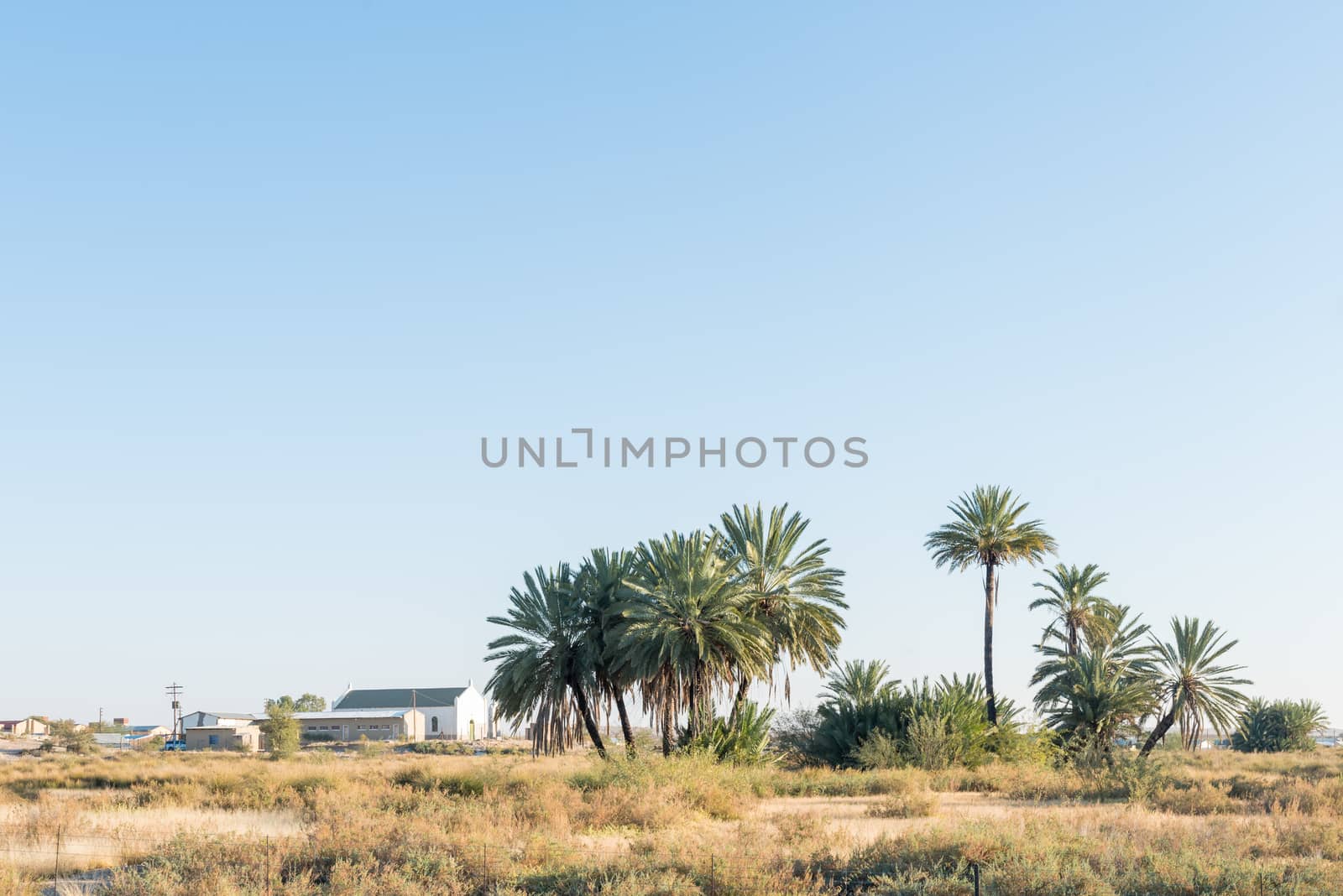 The historic fountain between palm trees in Rietfontein, a small town in the Northern Cape Province of South Africa on the border with Namibia
