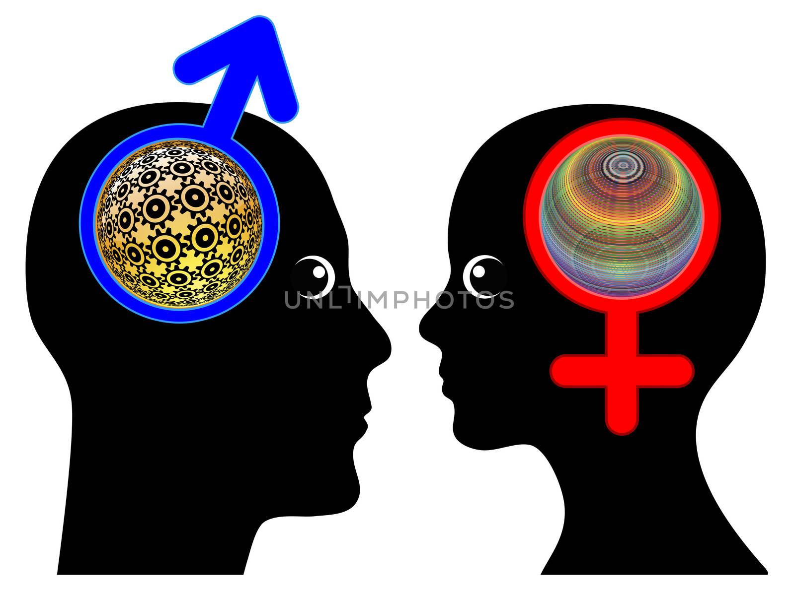 Male and Female Brains are different by Bambara