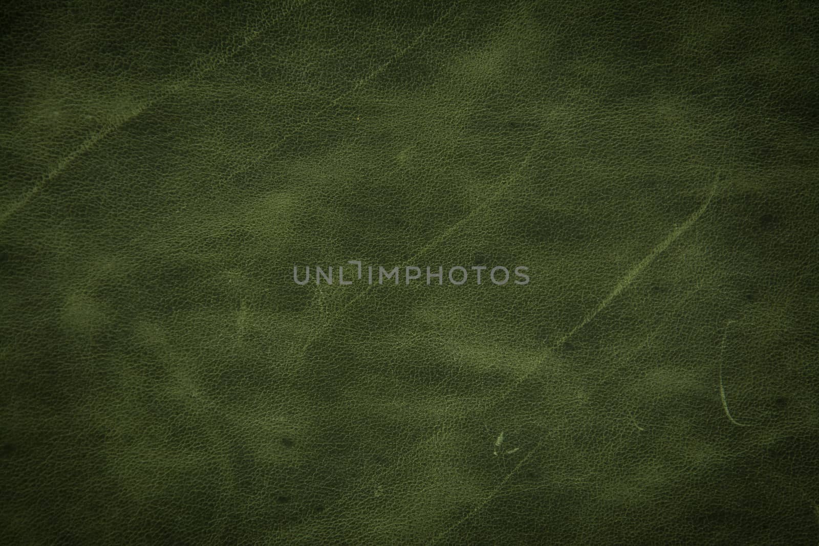 green leather texture background 