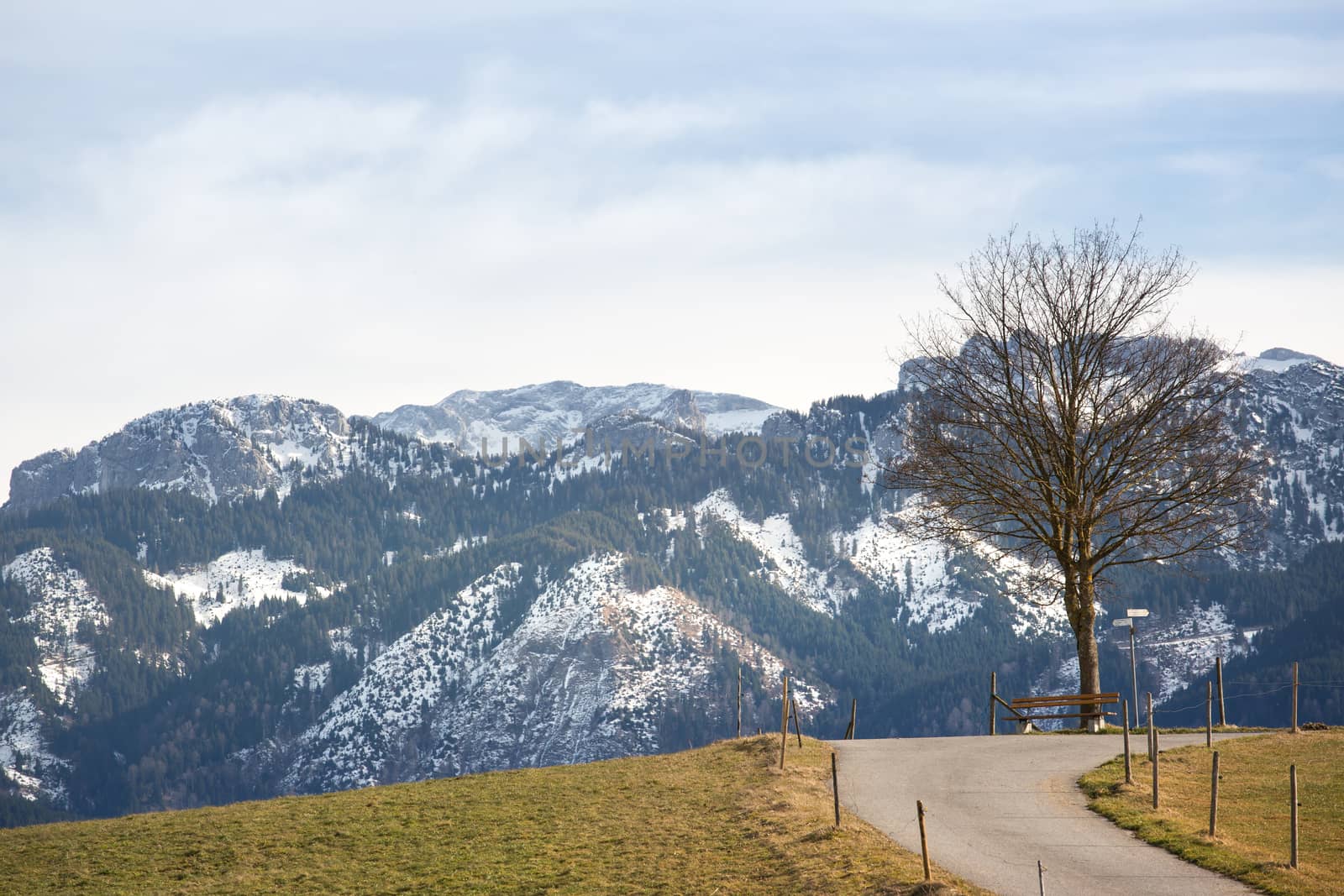 Way on a meadow with a view of the mountains
 by sandra_fotodesign