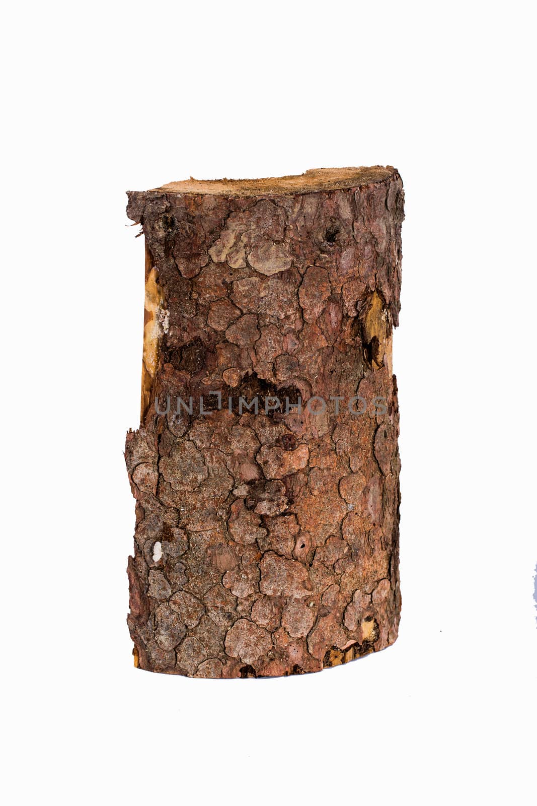 Just a piece of wood isolated on a white background