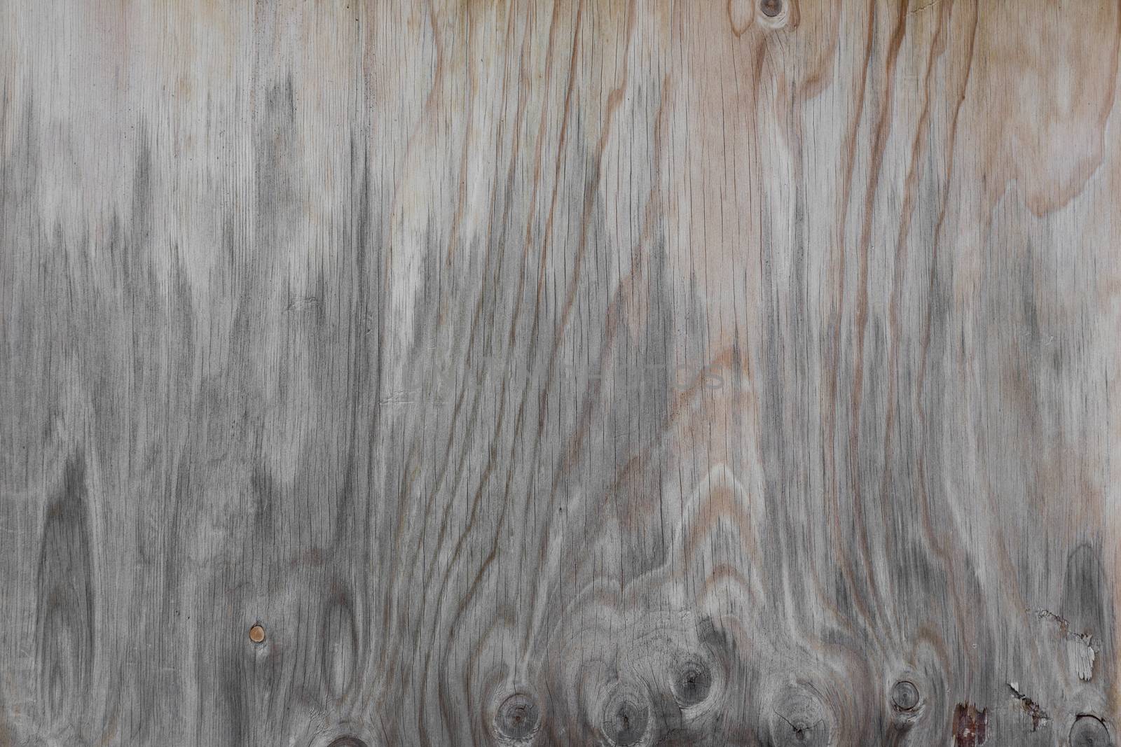 A wooden background with details and structure by sandra_fotodesign