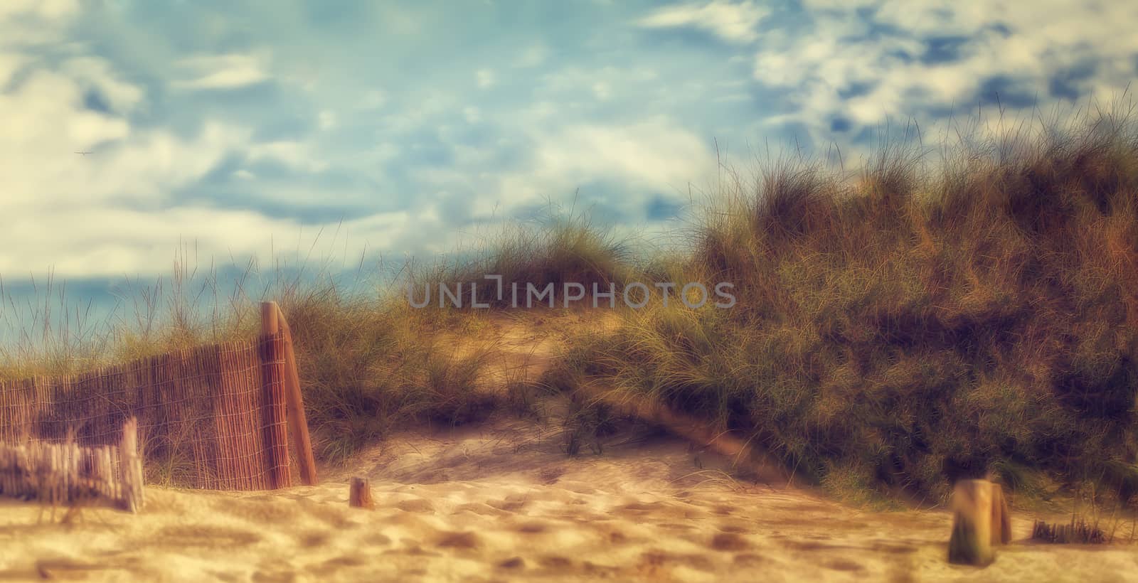 Dunes of Cala Mesquida, Mallorca with a blue sky by sandra_fotodesign