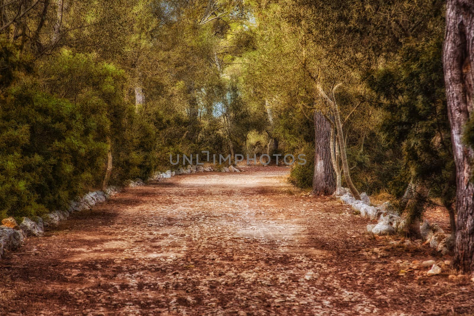 Beautiful lonely avenue without people by sandra_fotodesign