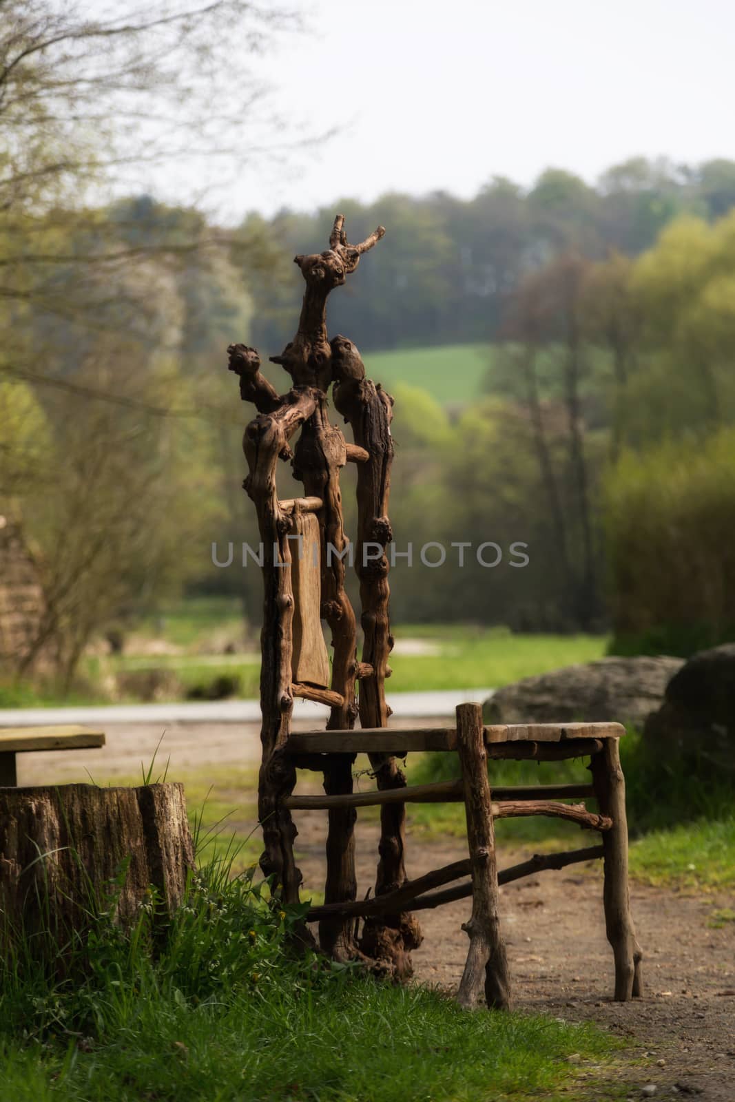 Handmade wooden chair in the middle of nature by sandra_fotodesign