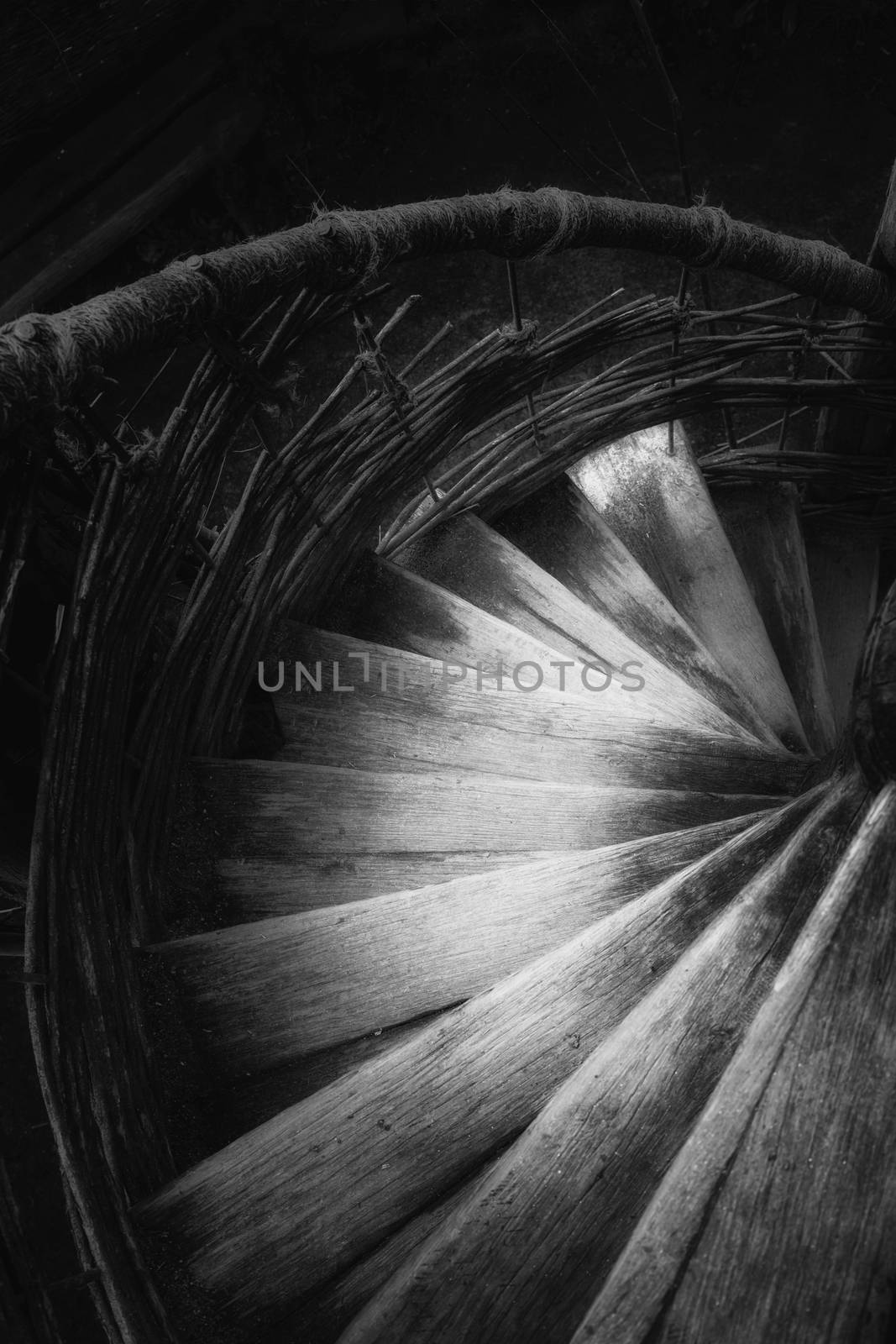 Steps of a spiral staircase which go downwards by sandra_fotodesign