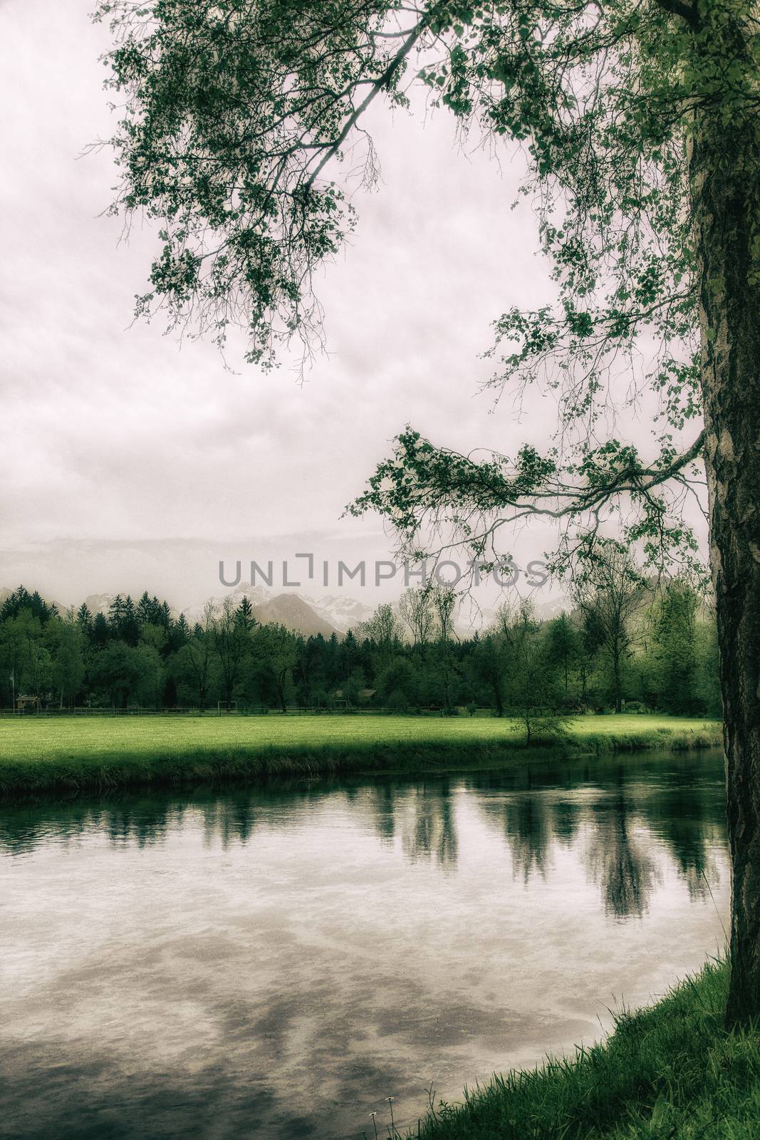 A beautiful autumn landscape scene colored in green and grey by sandra_fotodesign